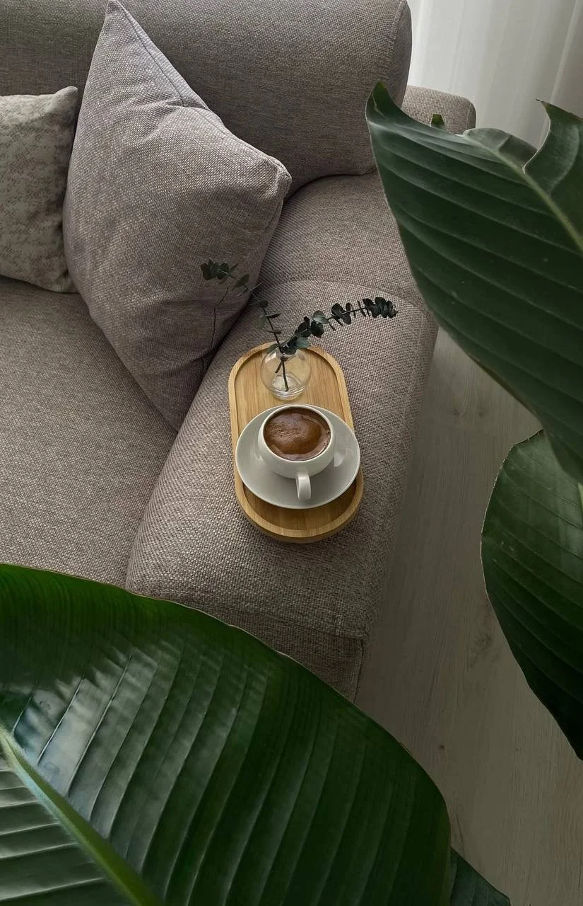 A beige sofa with matching cushions, a wooden tray with a white cup and saucer containing a hot beverage, and a small glass vase with eucalyptus leaves, partially obscured by large green leaves in the foreground.