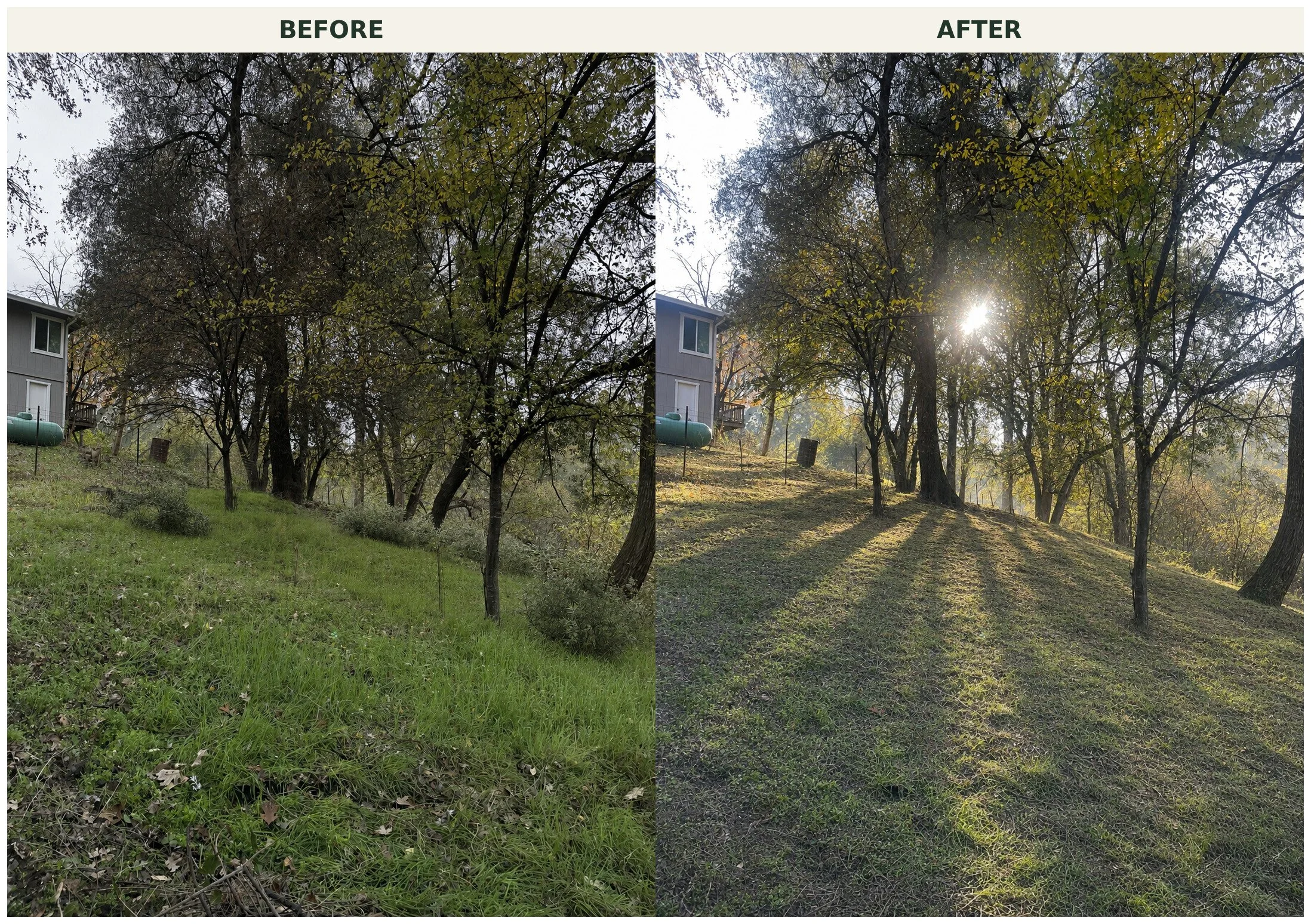 Comparison of a backyard scene before and after sunlight filtering through trees with green grass and a house in the background.
