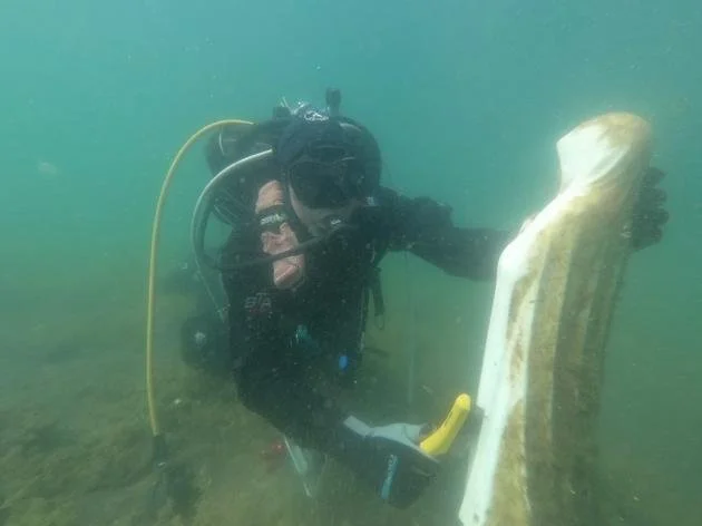Un subacqueo con attrezzatura completa si trova sott'acqua, accanto a un grande scheletro di animale marino.