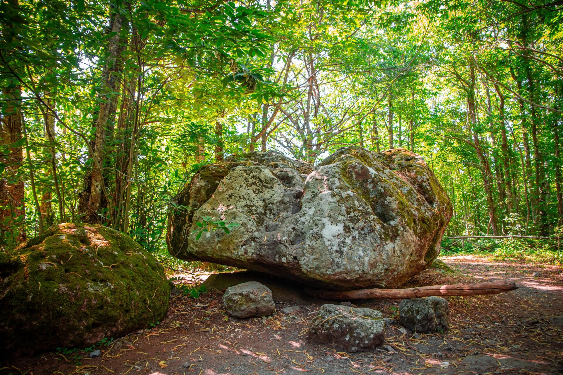 Sentiero nel bosco con grandi rocce, alberi verdi e luce solare che filtra tra le foglie.