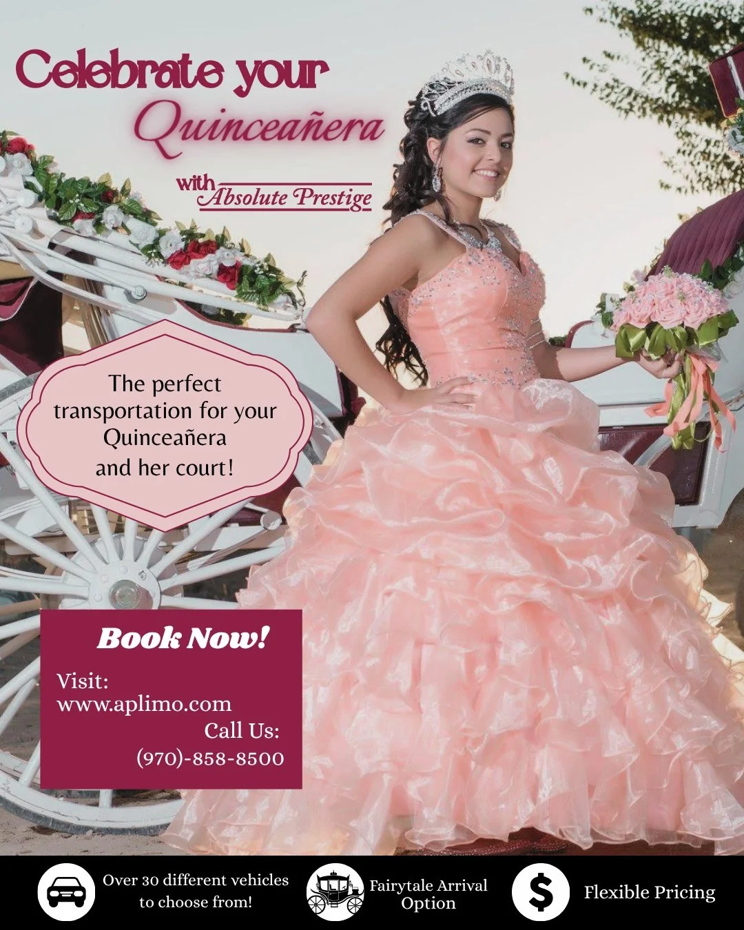 Celebrate your quinceanera as she transitions into womanhood! 👑
&bull;
We have the perfect rides for your party and your guests, and a Fairytale Arrival option that calls for our Cinderella Carriage in tandem with one of our teams of Black or White 