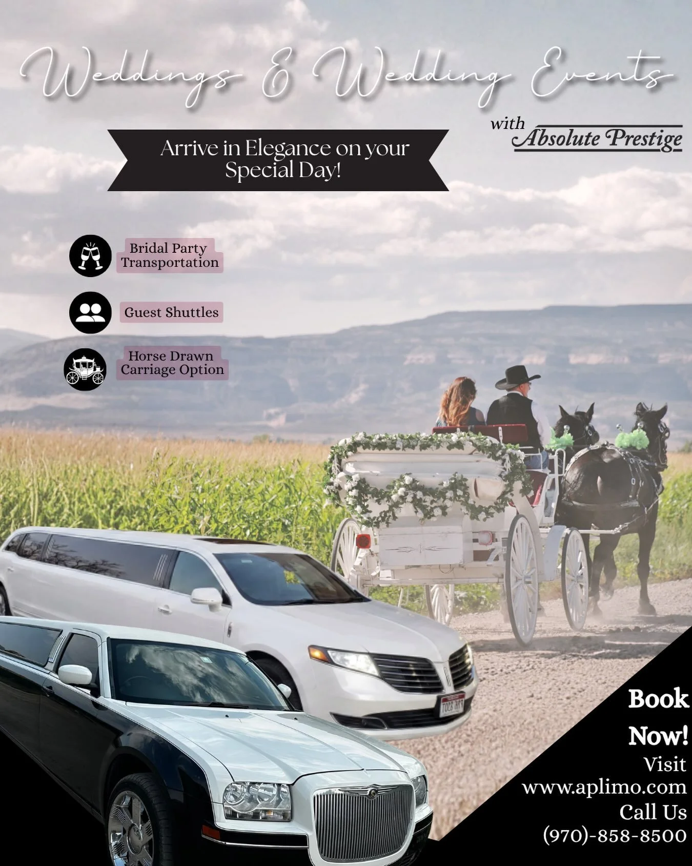 Weddings are stressful to begin with &mdash; Let us ease your mind and make your special day even easier with an unforgettable experience 💍
&bull;
Whether it&rsquo;s a Horse &amp; Carriage exit, a party bus voyage for your bachelor/bachelorette, or 
