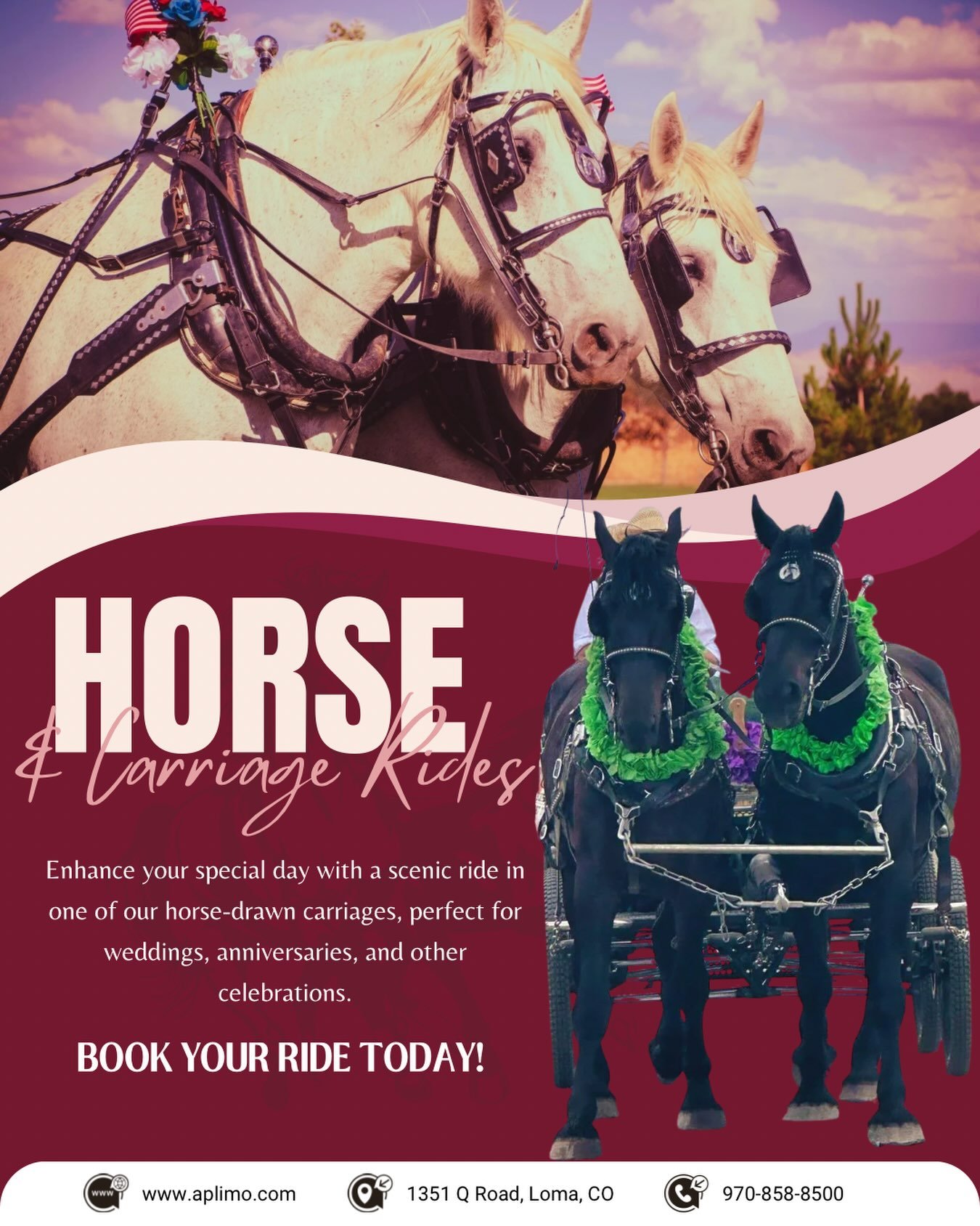 Our Horse &amp; Carriage Rides are the Perfect Experience to Add to Any Event! 🎠
&bull;
Call us or visit our website to book your carriage ride today!
&bull;
#horseandcarriage #carriagerides #horses #coloradobusiness #grandjunction