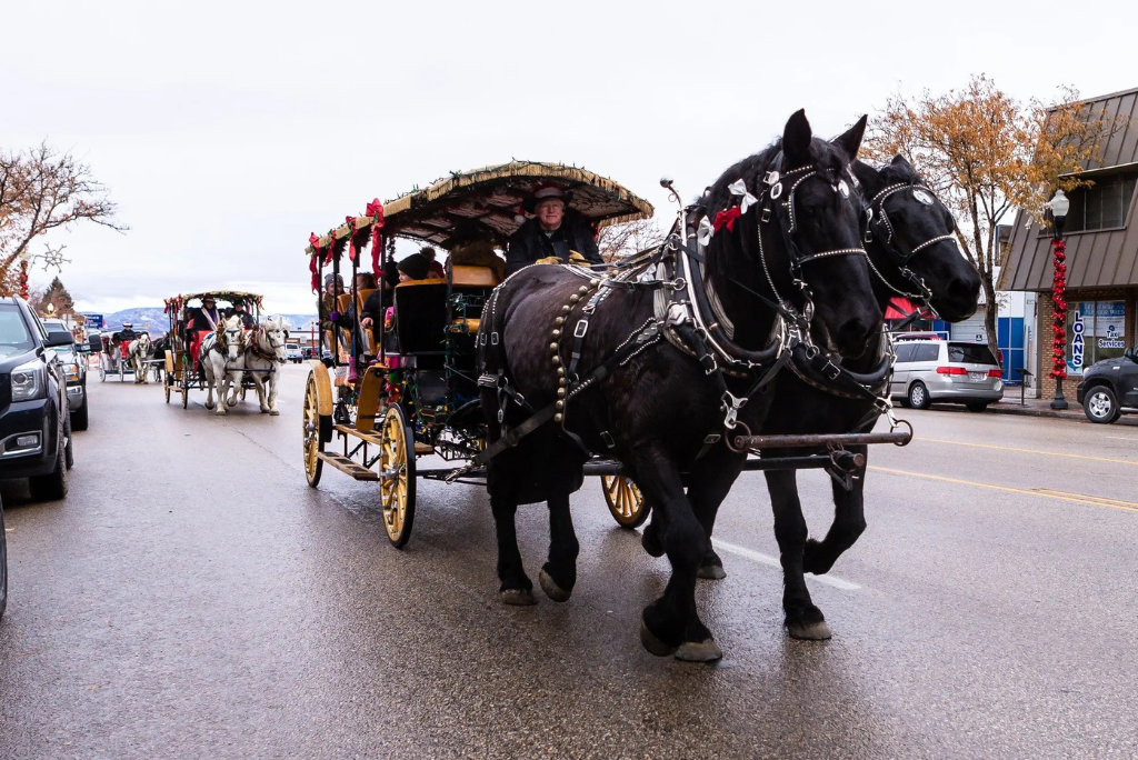 Horse Drawn Carriage Rides