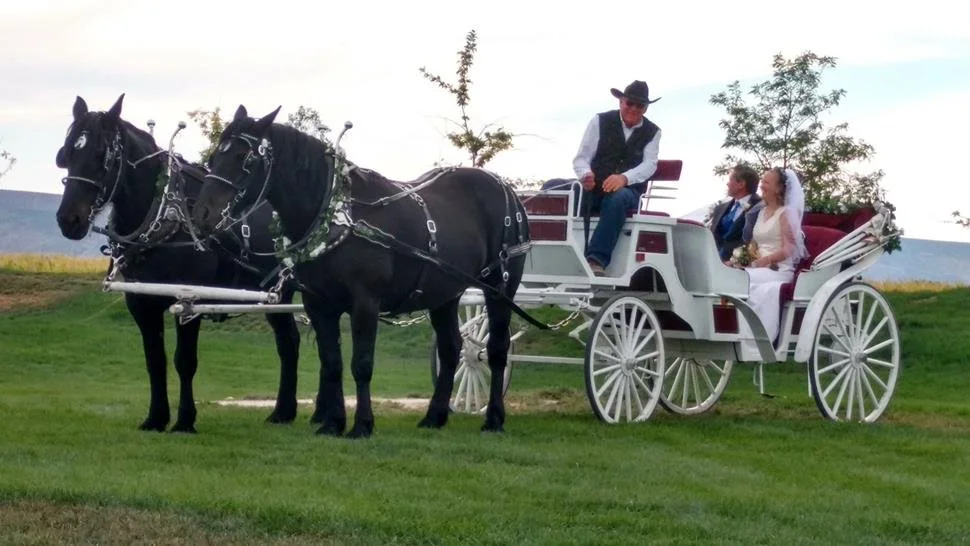 Carriage 28.jpg
