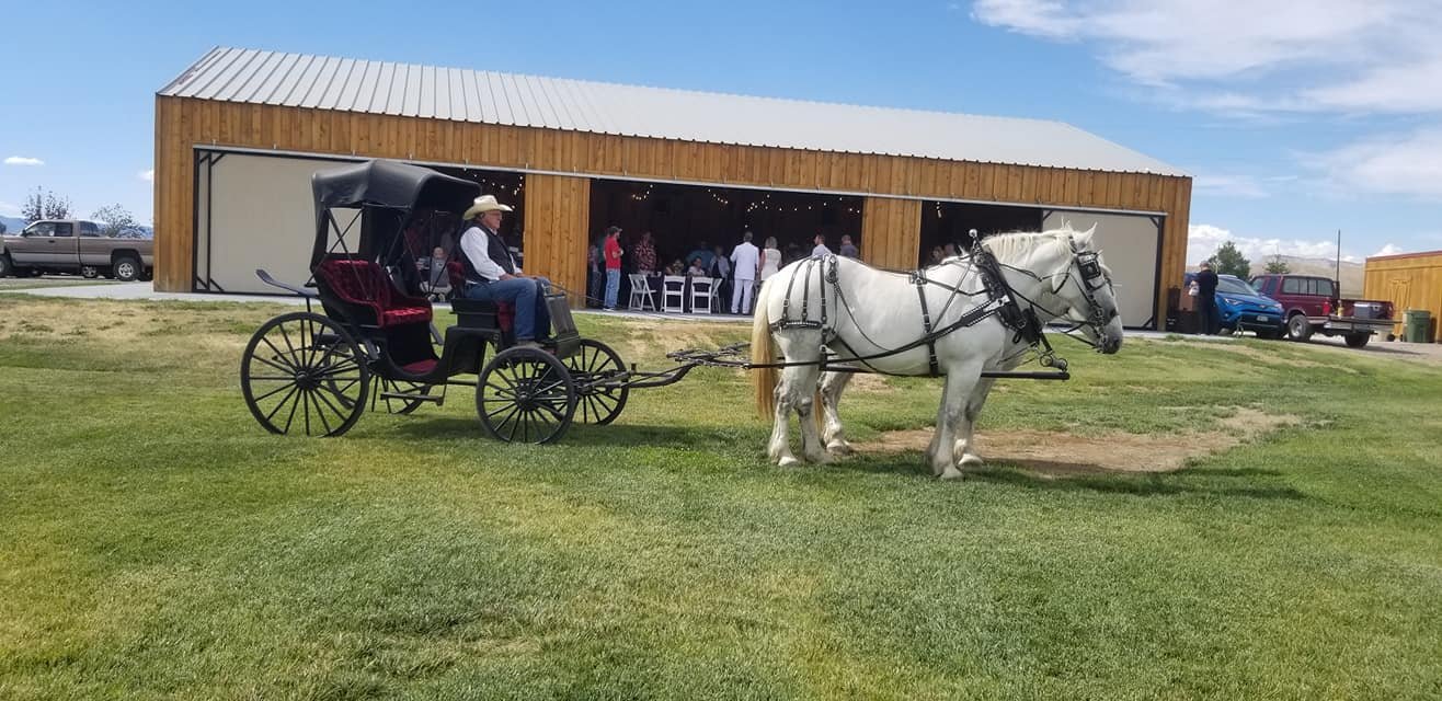 Carriage 22.jpg