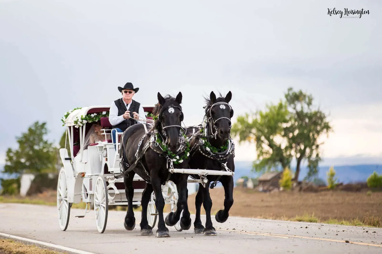 horse&carriage wedding.webp
