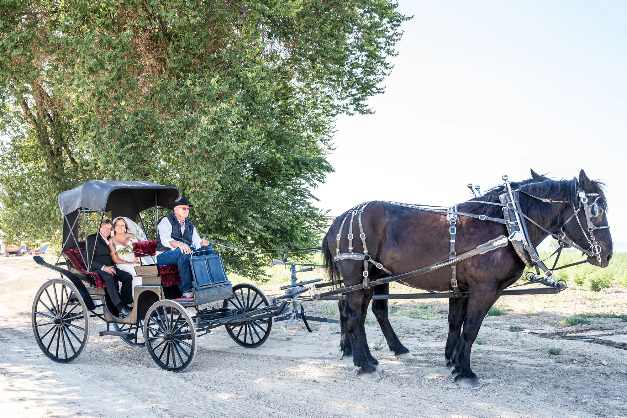 Carriage10.jpg