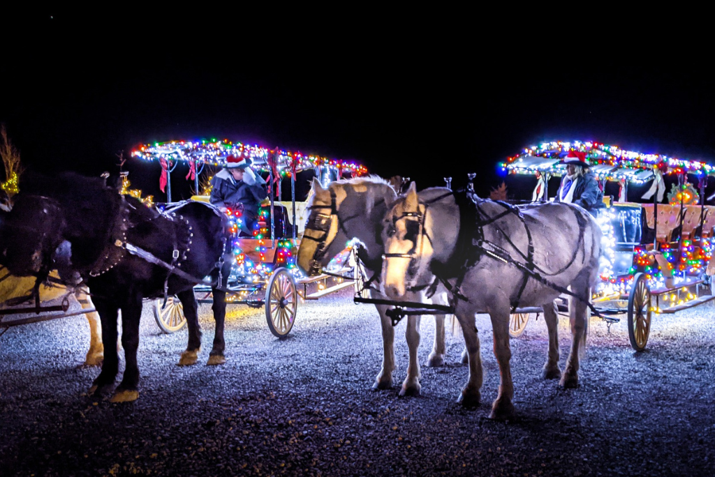 xmas carriage.png