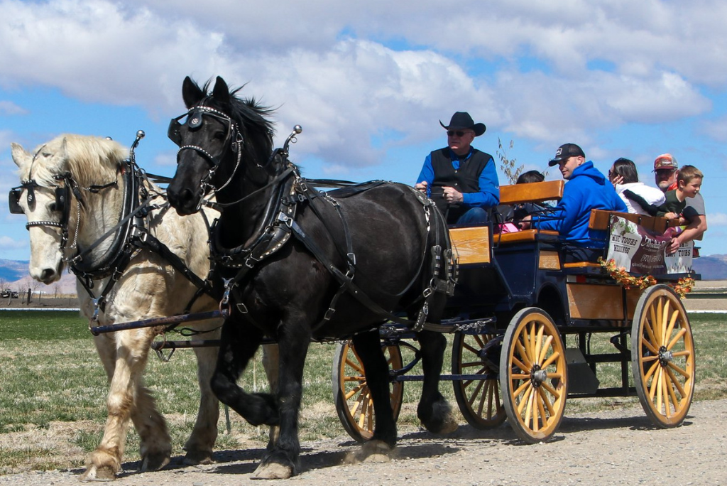 horse carriage.png