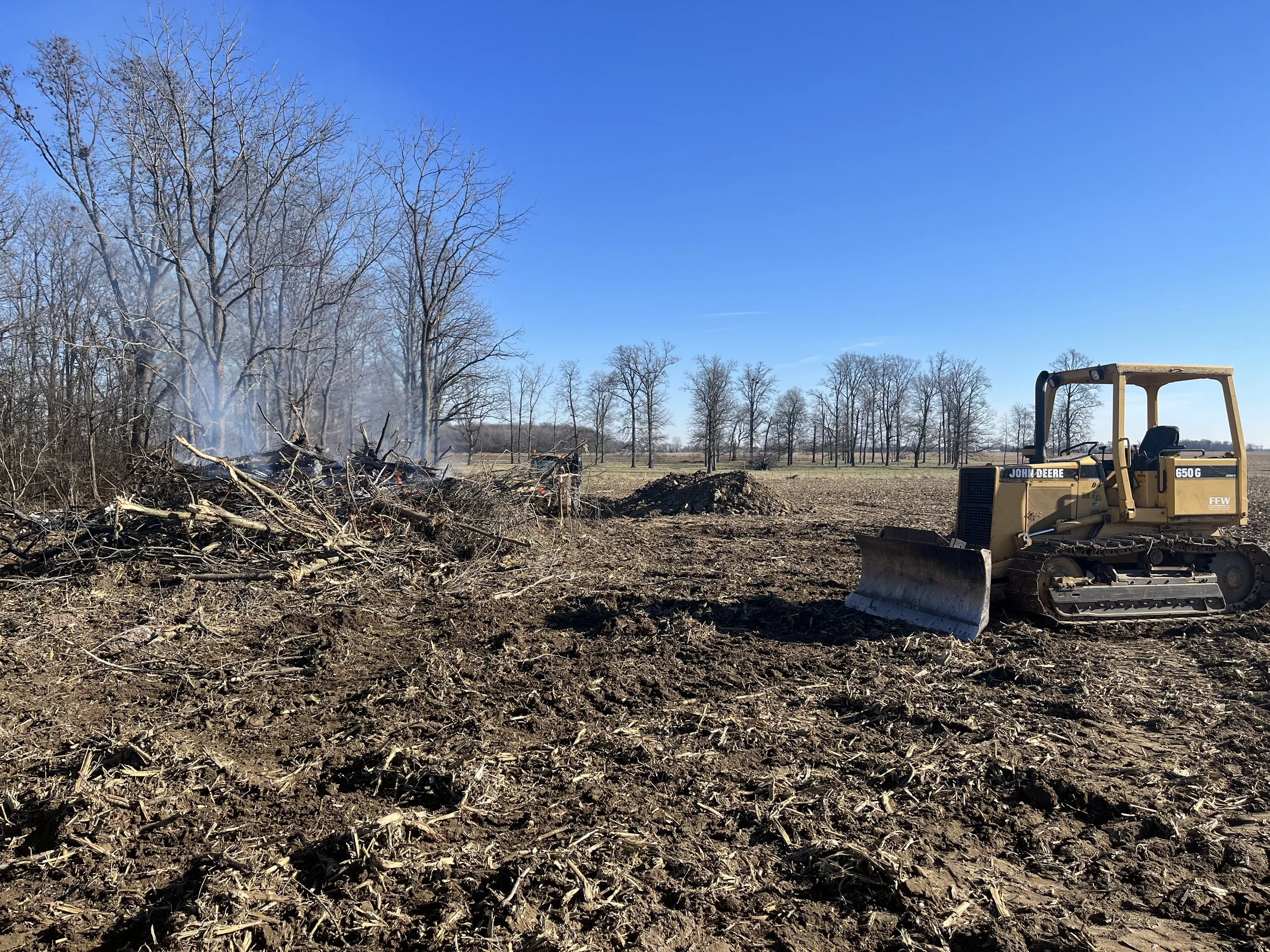 Cleared land with dirt and debris, a bulldozer in the foreground, and a row of leafless trees in the background under a clear blue sky.