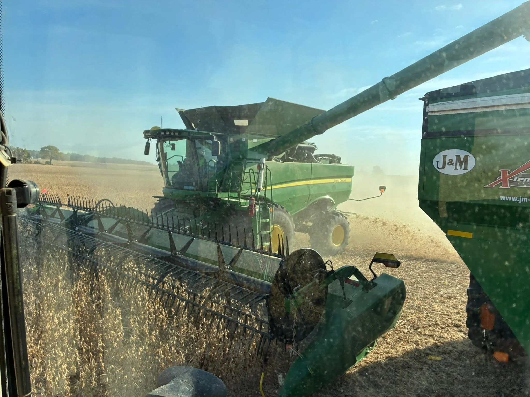 Harvest.jpg
