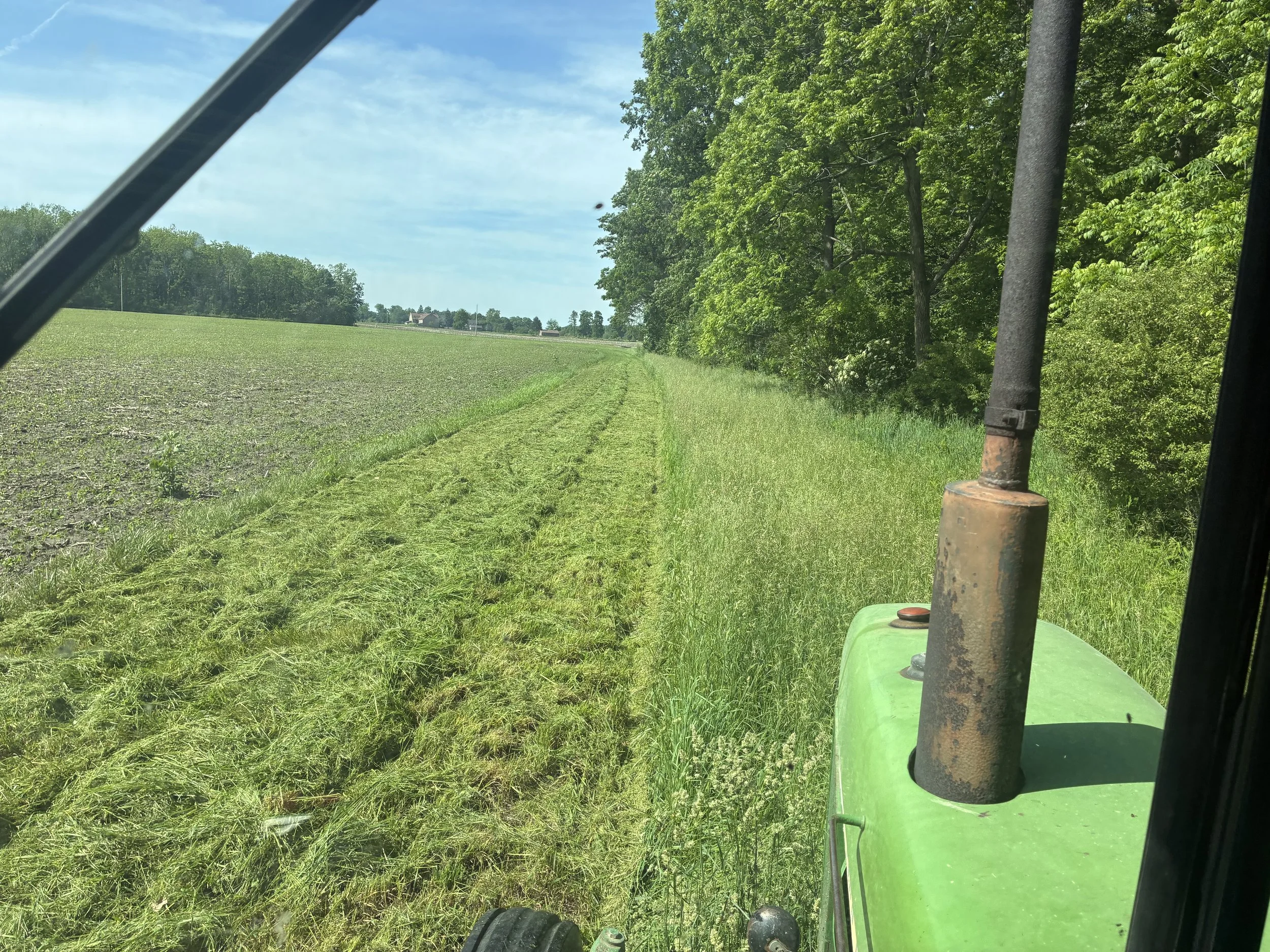 View from inside a green tractor cab showing a dirt path beside a grassy field and a line of green trees along the edge of a forest under a partly cloudy sky.