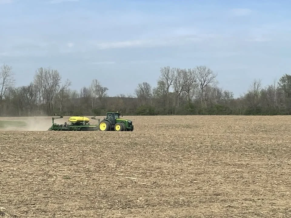 Planting Beans in Field.jpg