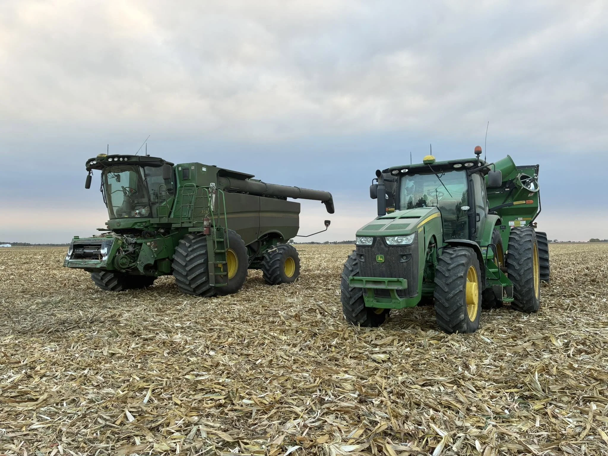 harvest 1.jpg