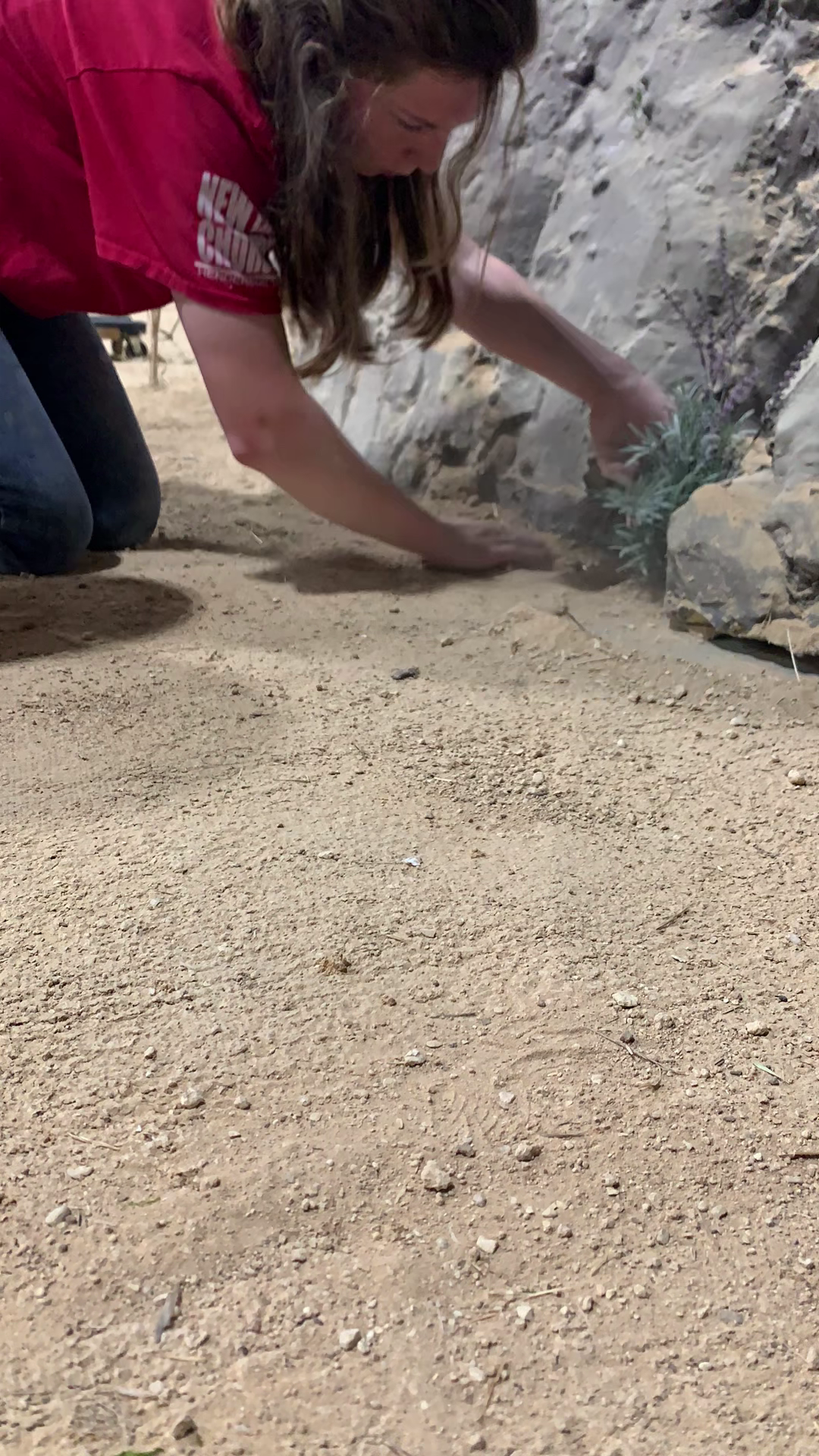 close-up-dirt.png