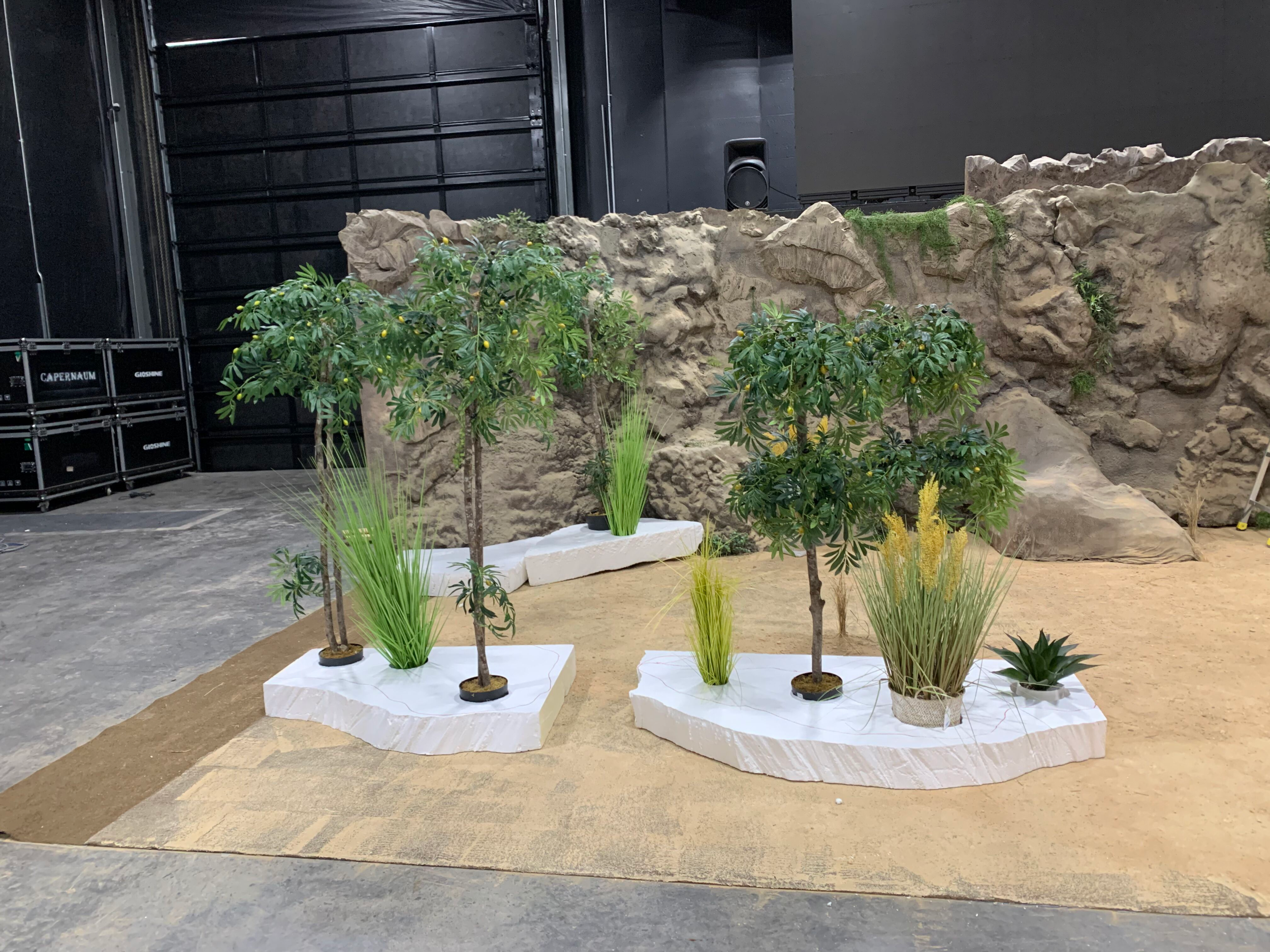basic-layout-with-plants.png