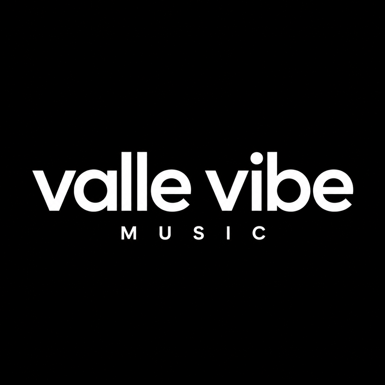 Black background with white text that reads 'valle vibe MUSIC'.