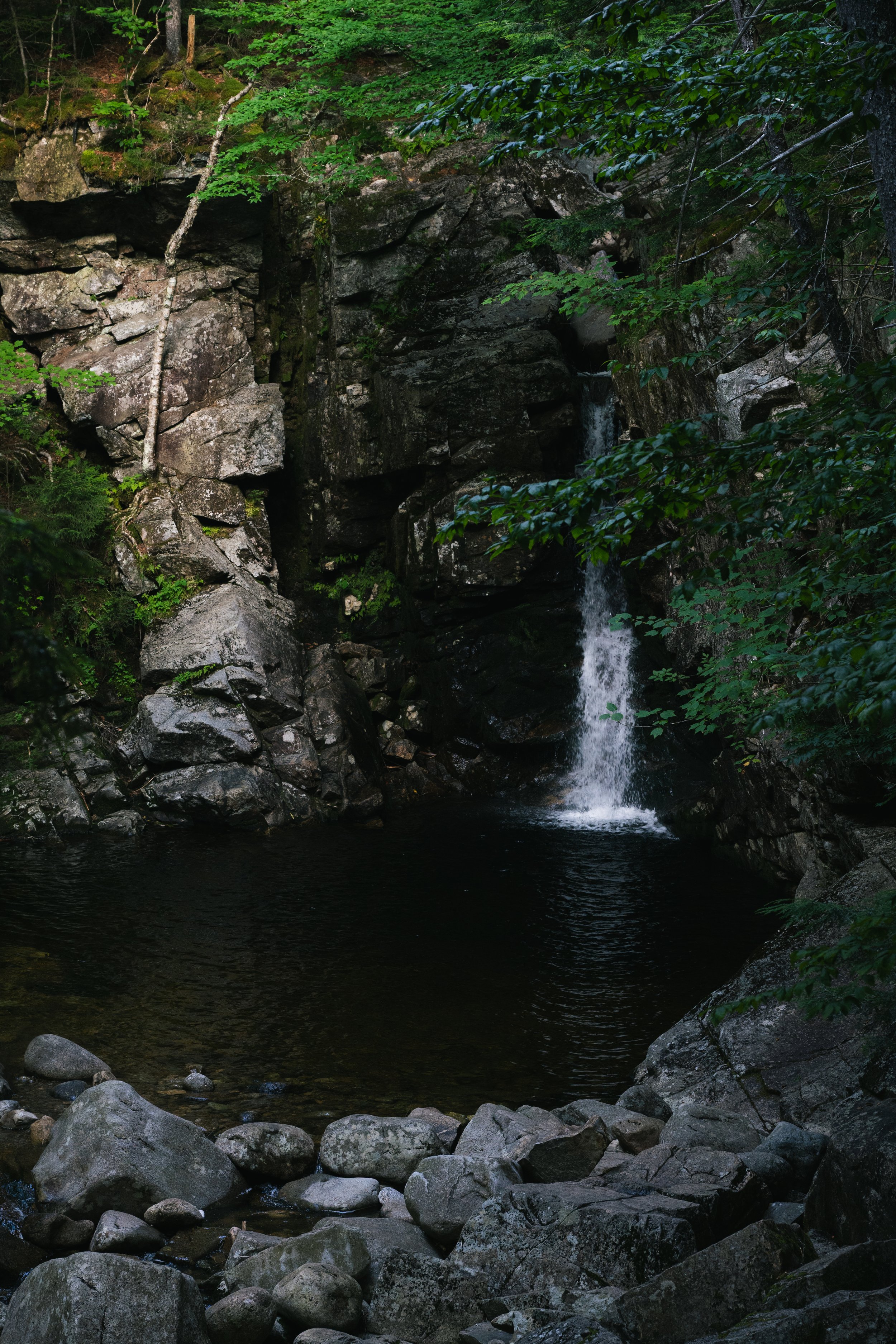 Photo Aug 01 2026, 6 48 14 AM.jpg