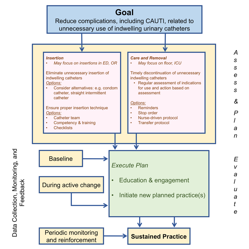 Flowchart titled 'Goal' focused on reducing complications related to indwelling urinary catheters. It has two main sections: 'Infection' and 'Care and Removal,' with focus on insertion techniques, alternatives, and timely disconnection. The process includes establishing a baseline, executing a plan involving education and practice, and ongoing monitoring to sustain practice.