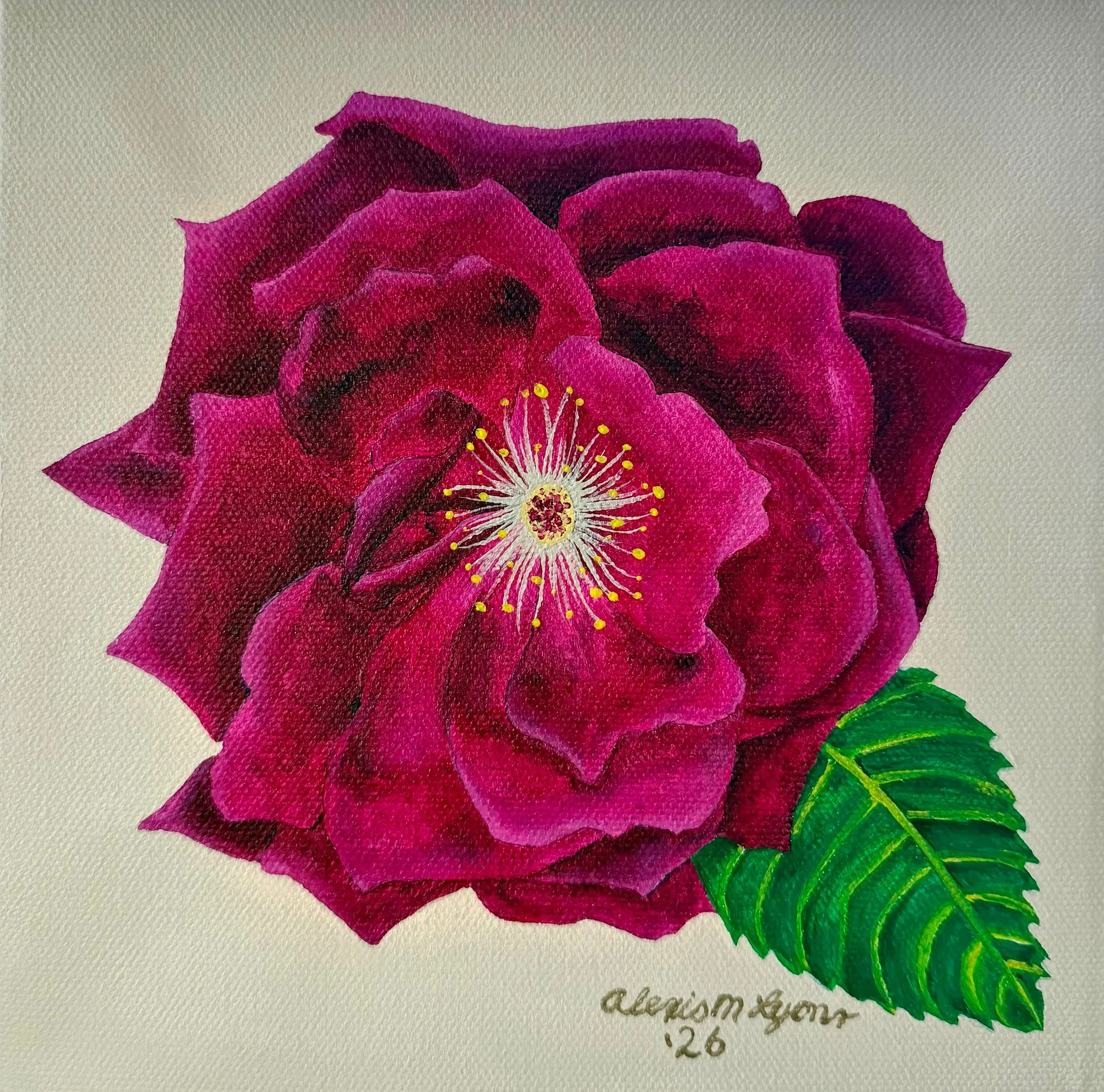 Bold, purple rose by Alexis Lyons.