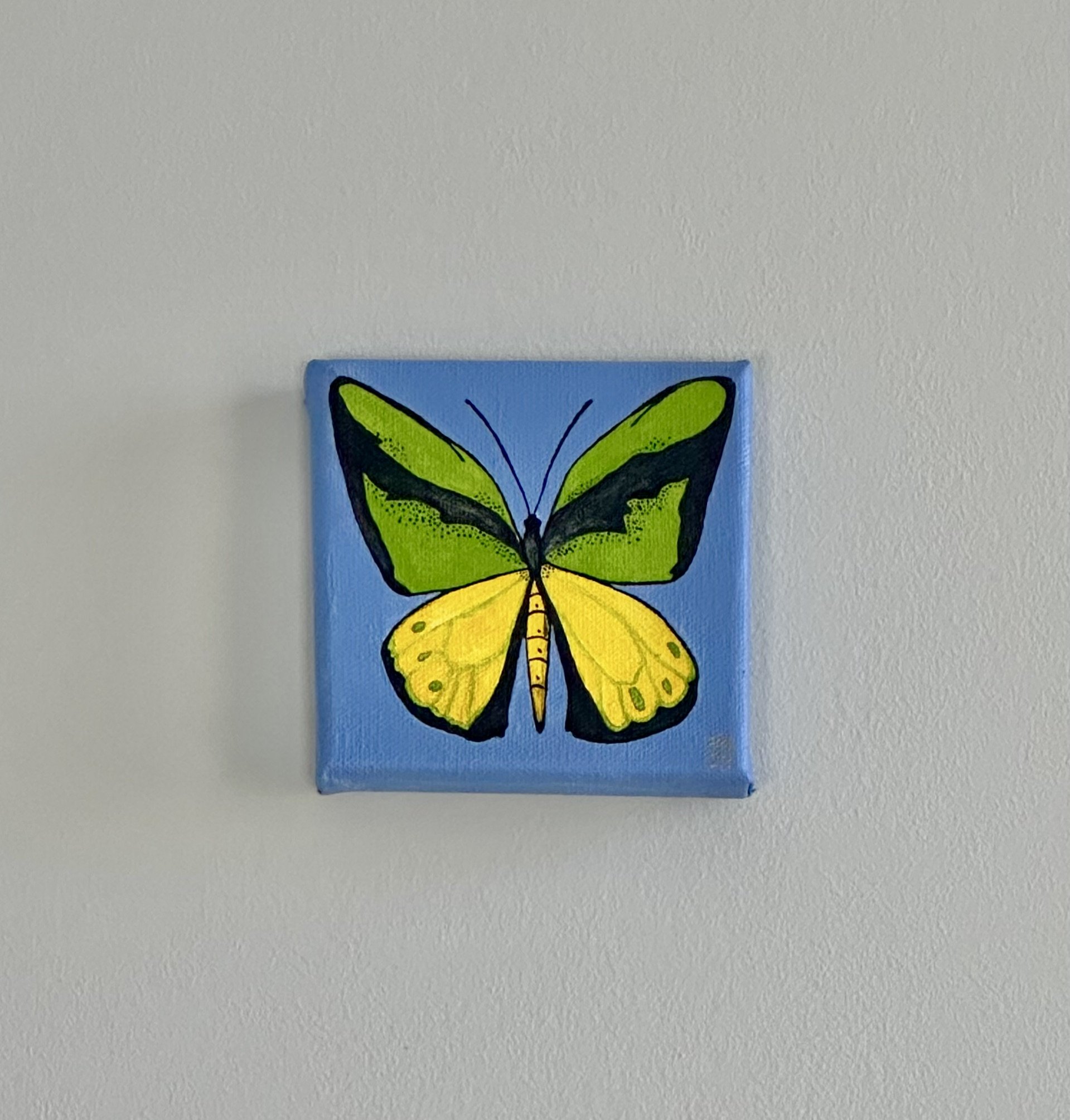 Bright, bold color butterfly by Alexis Lyons.