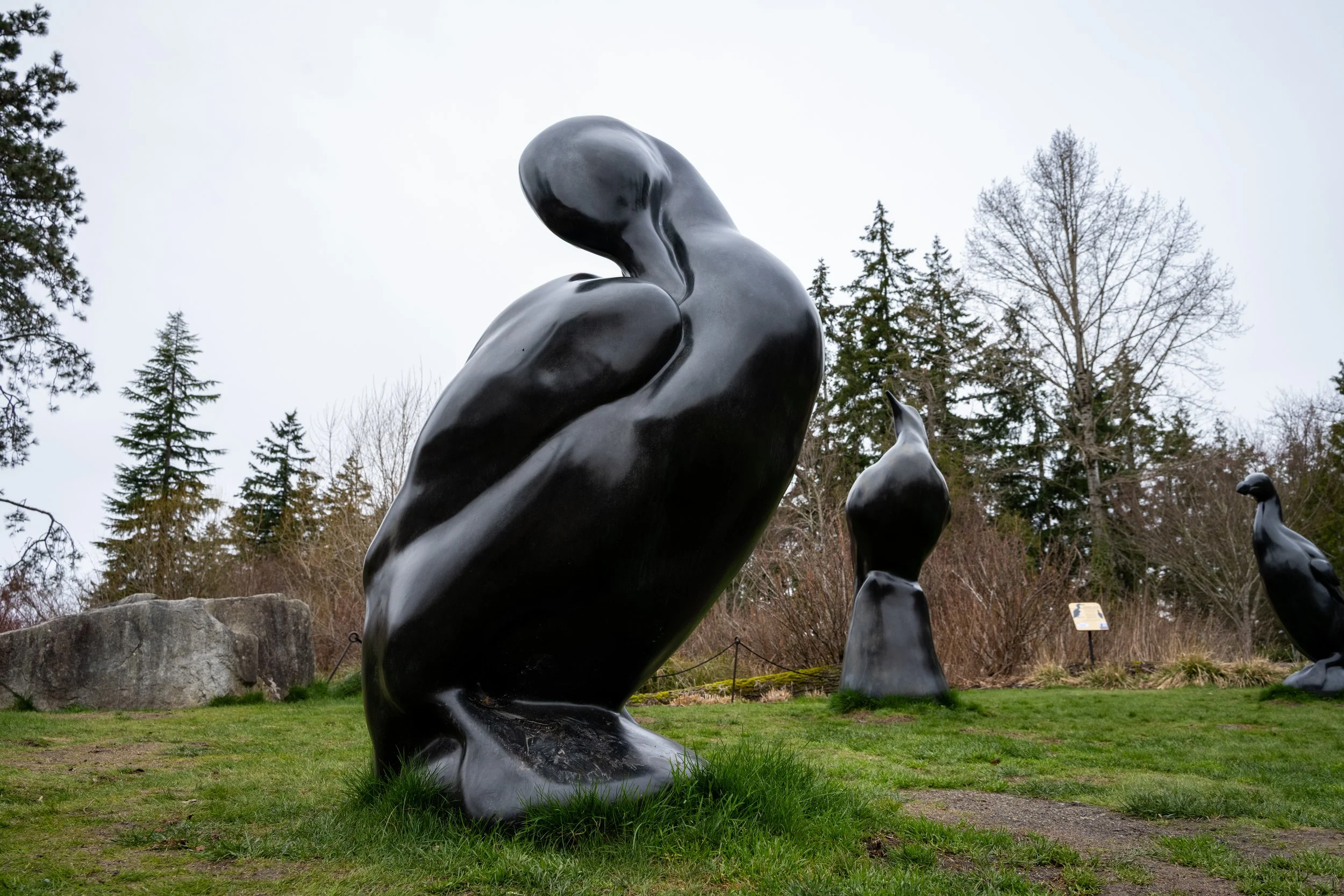 A History of Art in Bellevue in (about) 1500 steps