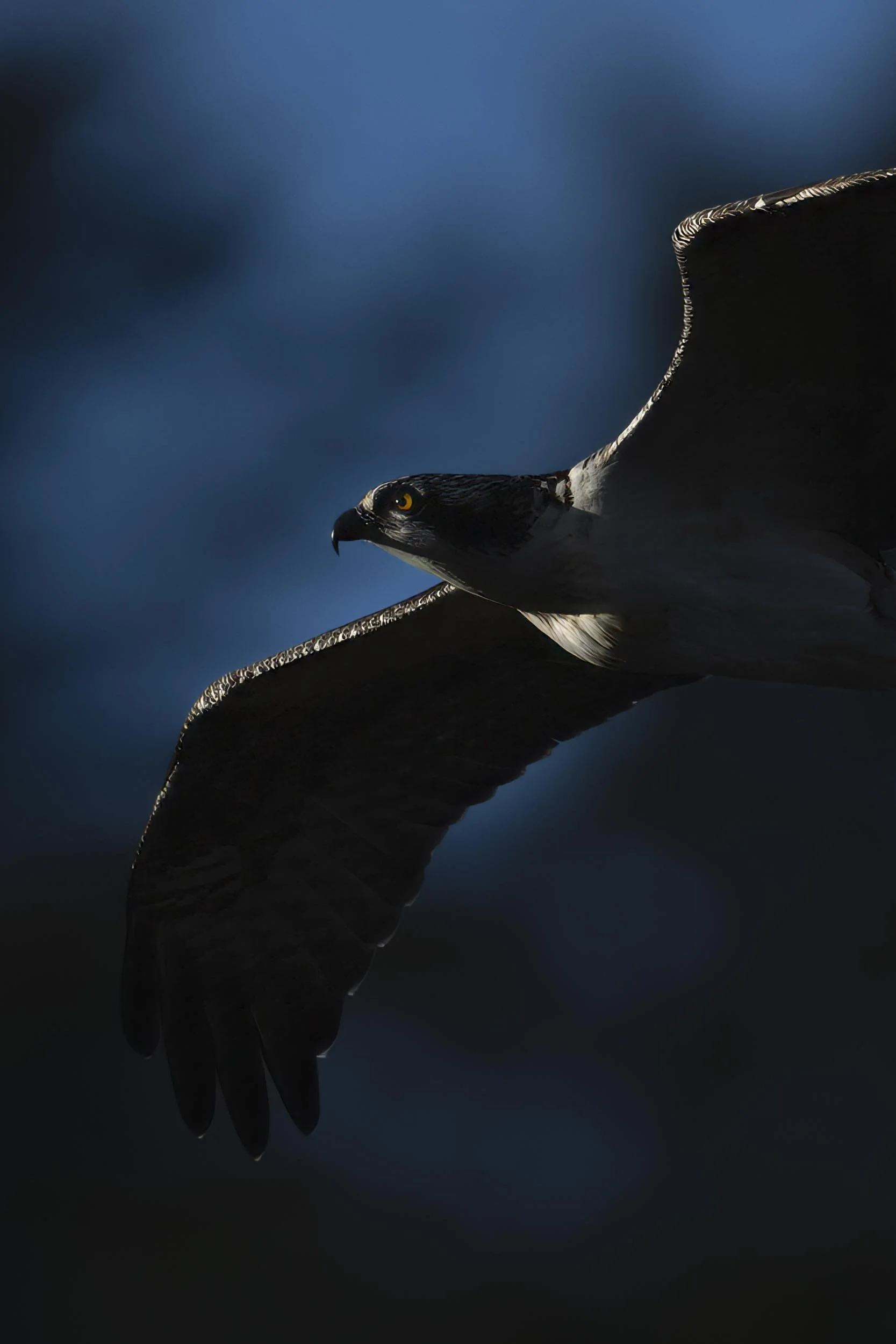 SW_R1_19119-Edit.jpg