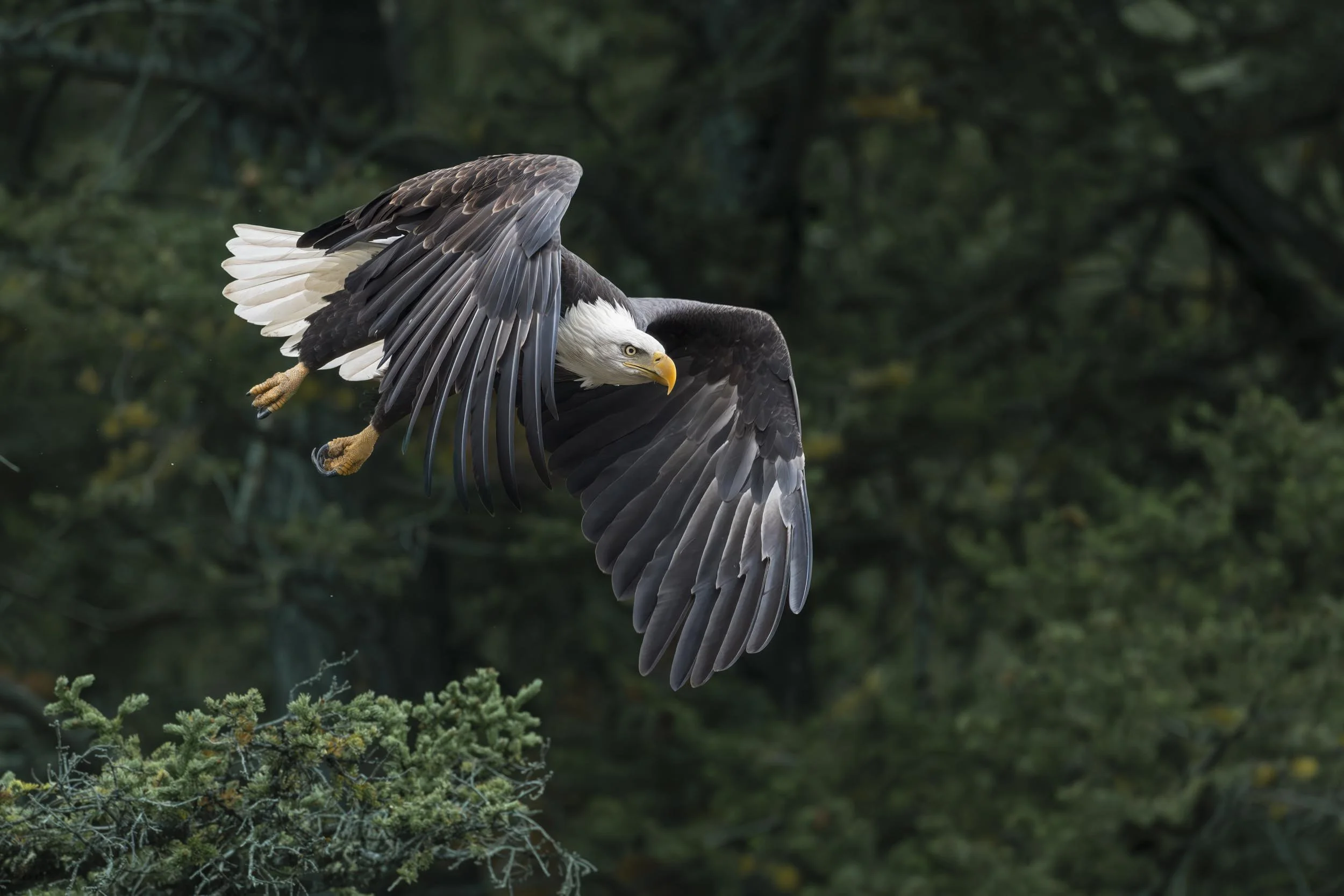 SW_R1_41865-Edit.jpg