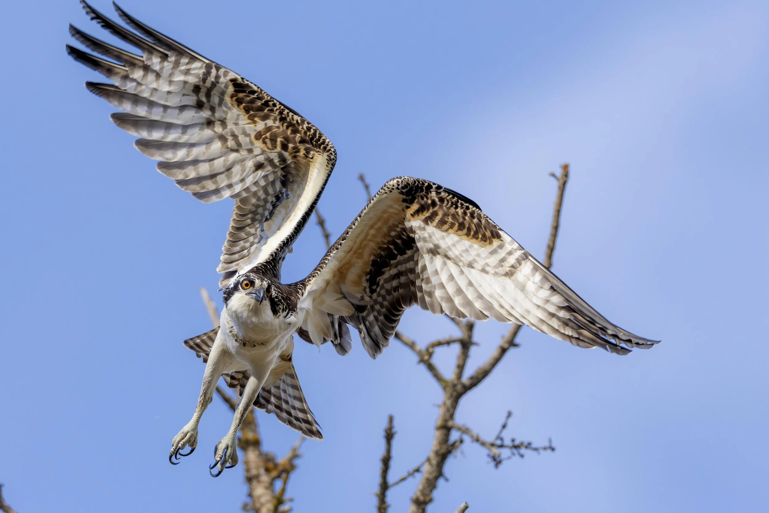 SW2_4116-Edit.jpg