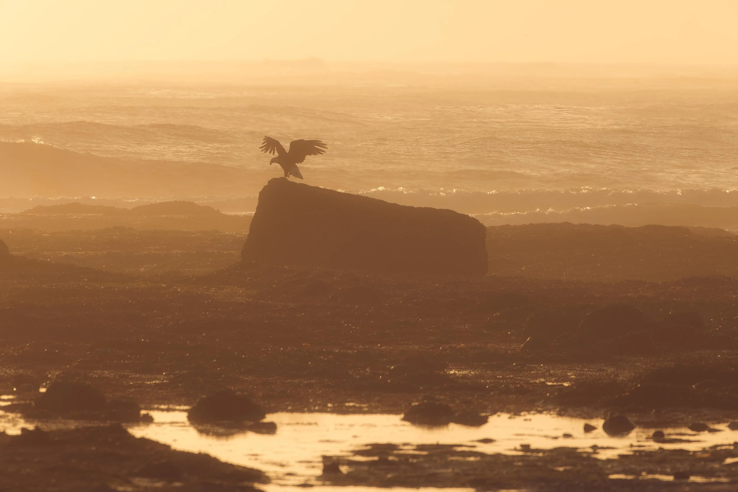 SR5_0937-Edit.jpg