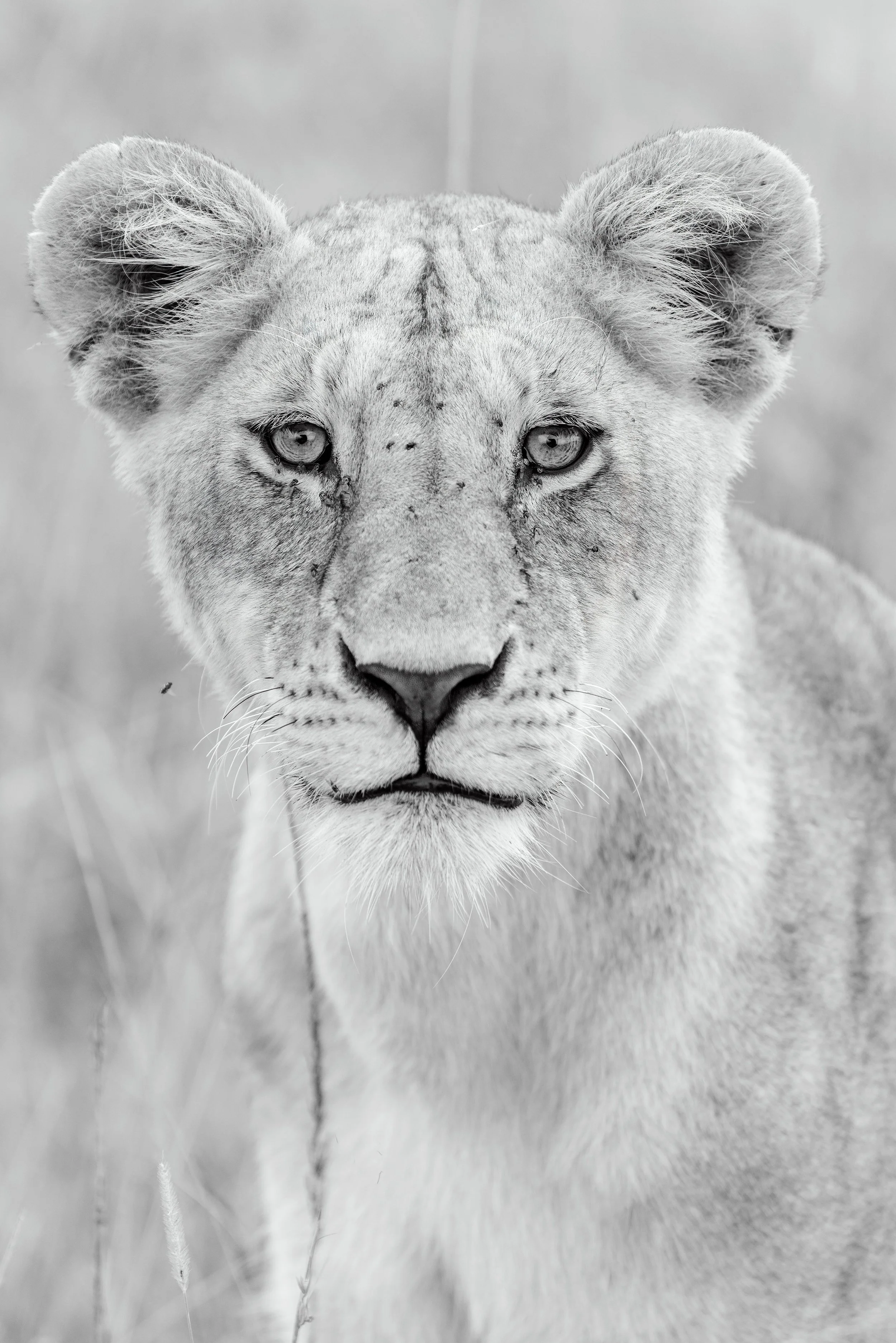 Steve Woods Mara 2023-208a.jpg