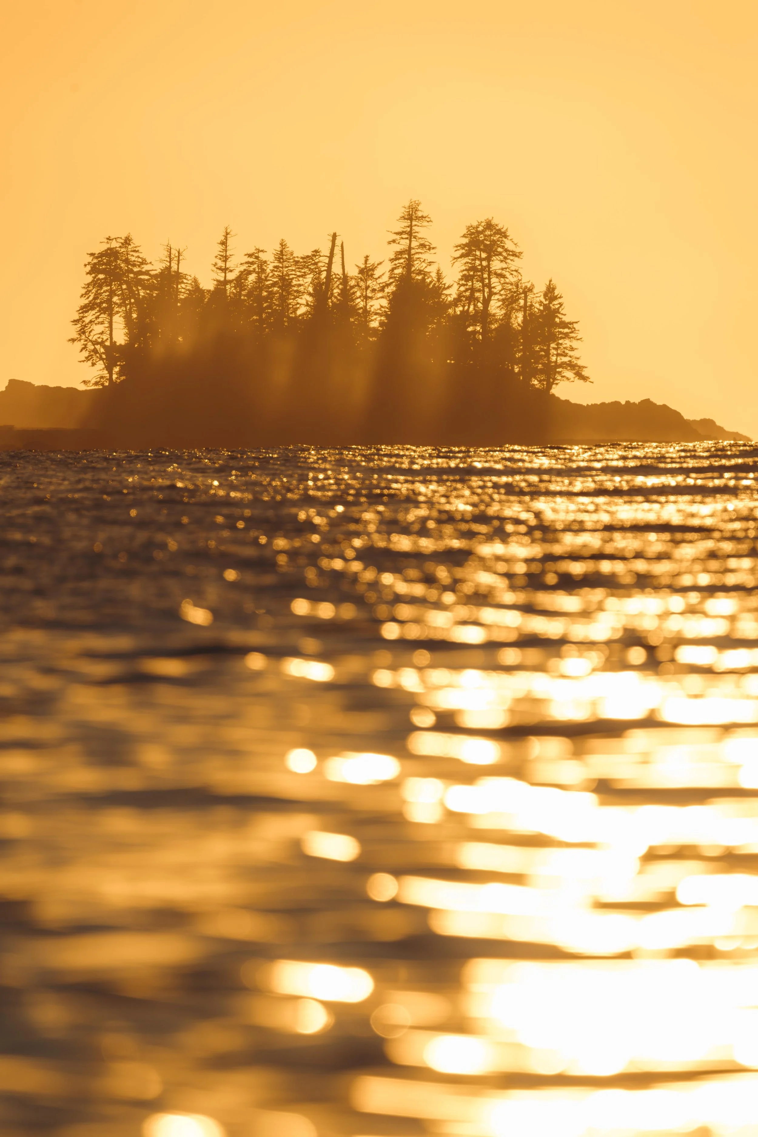 SRWX5138-Edit.jpg