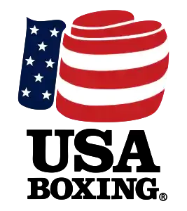 Image of a boxing glove with American flag design next to a waving American flag on a blue field with white stars. Shape of a