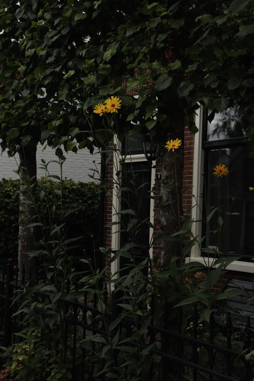 B043F199-9763-4C0A-A949-A94B770D9709.jpeg