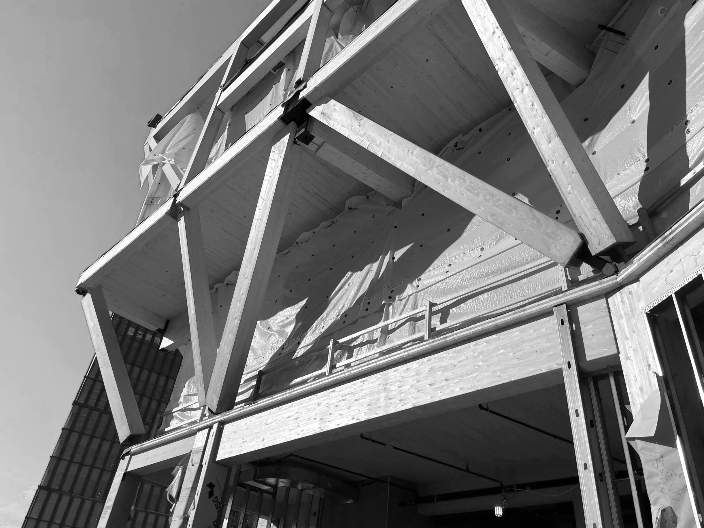 Harvard University David Rubenstein Treehouse Conference Center, under construction, mass timber