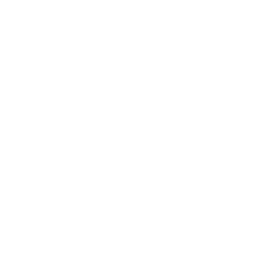 Black and white icon of a globe with longitude and latitude lines.