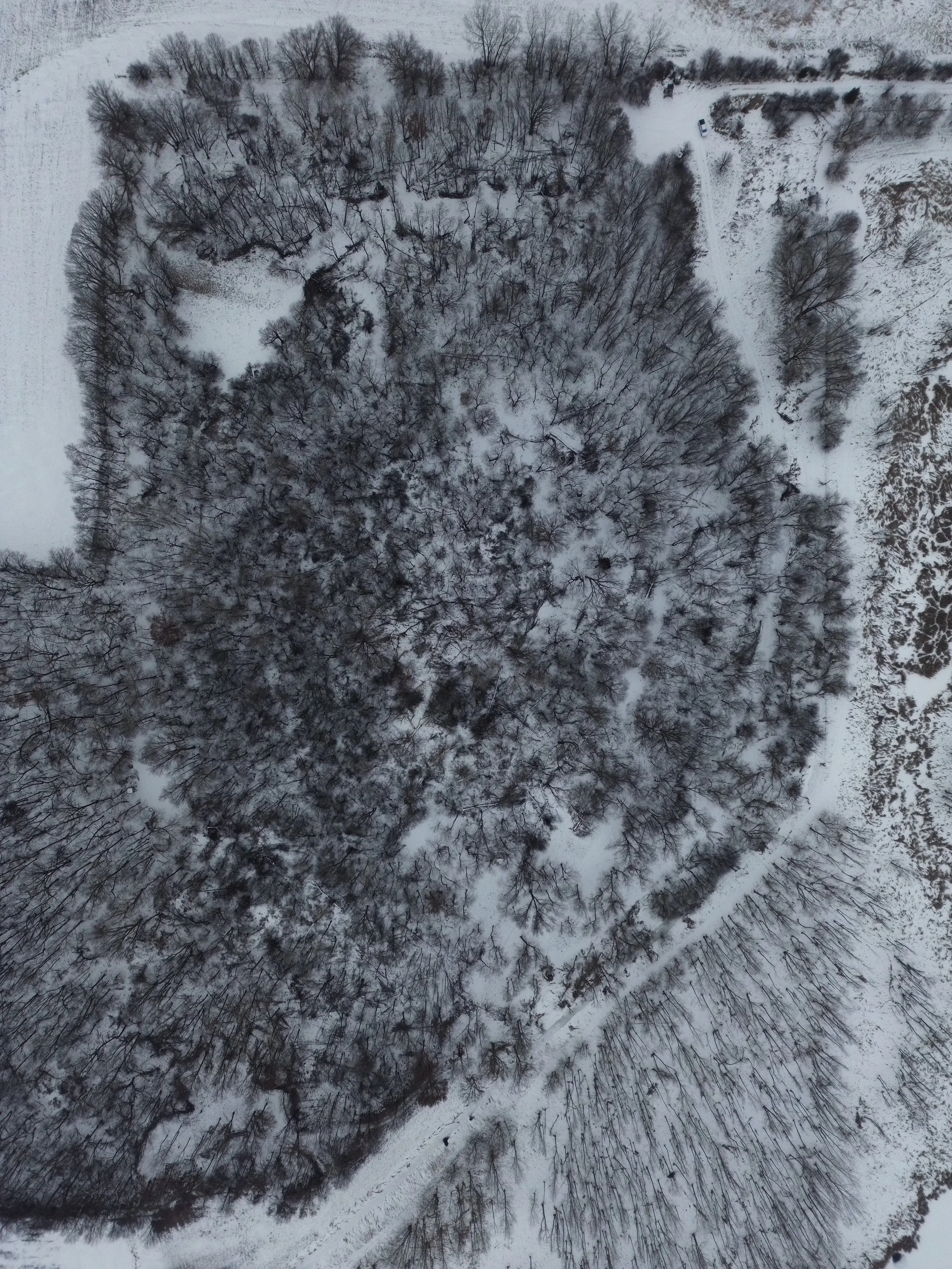 An aerial view of a snow-covered wooded area with a small pond or lake. A winding dirt road runs through the scene, with a car visible near the top right. The image is in winter, with leafless trees and snow covering the ground.