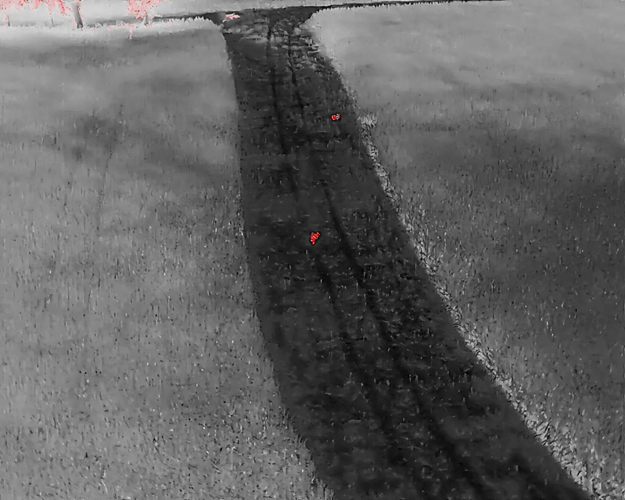 A street with a dark painted bike lane, a sidewalk, and a curb. Two red reflective stickers are on the bike lane. The photo is in black and white.
