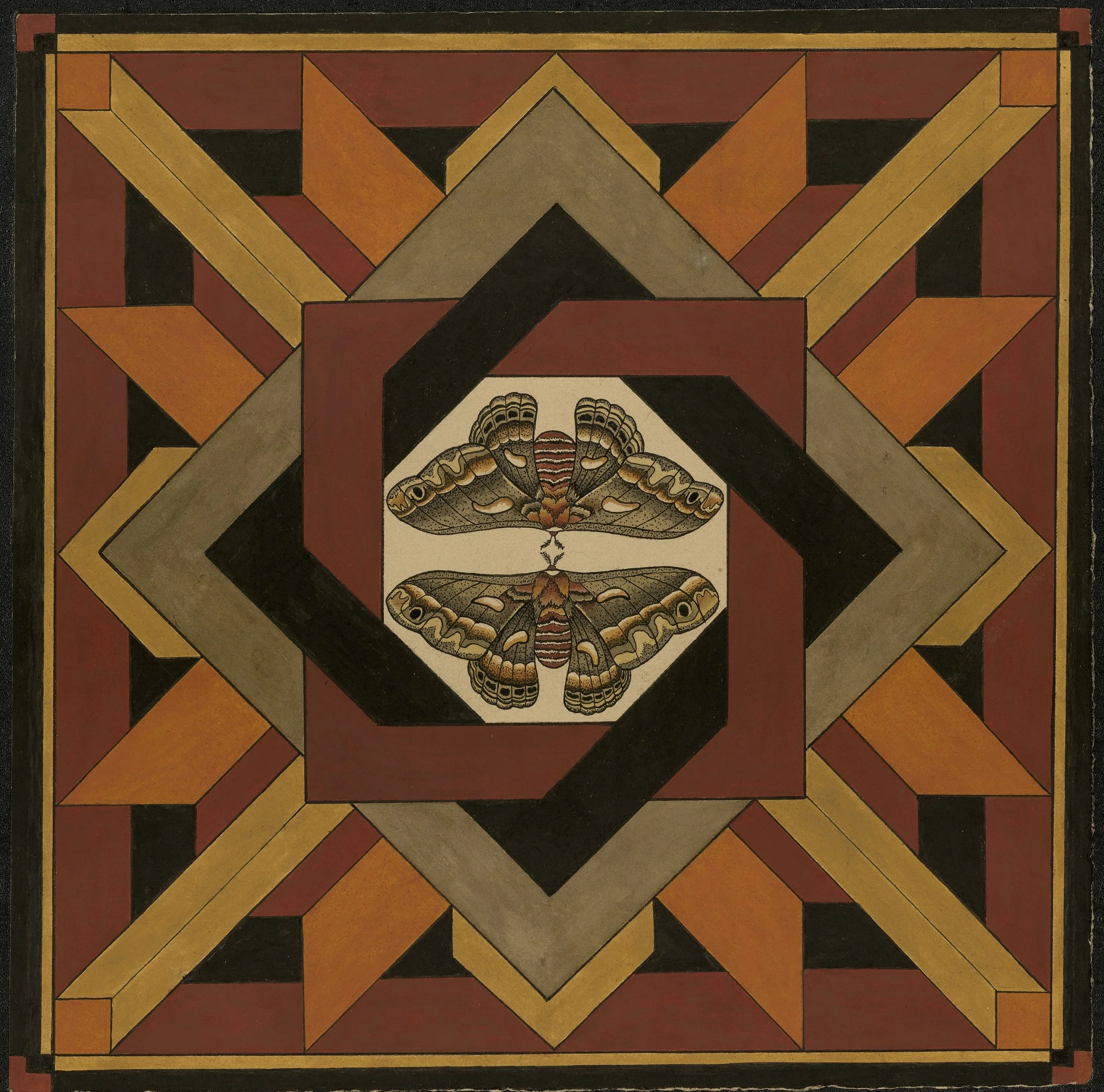 cecropia_condensed.jpg