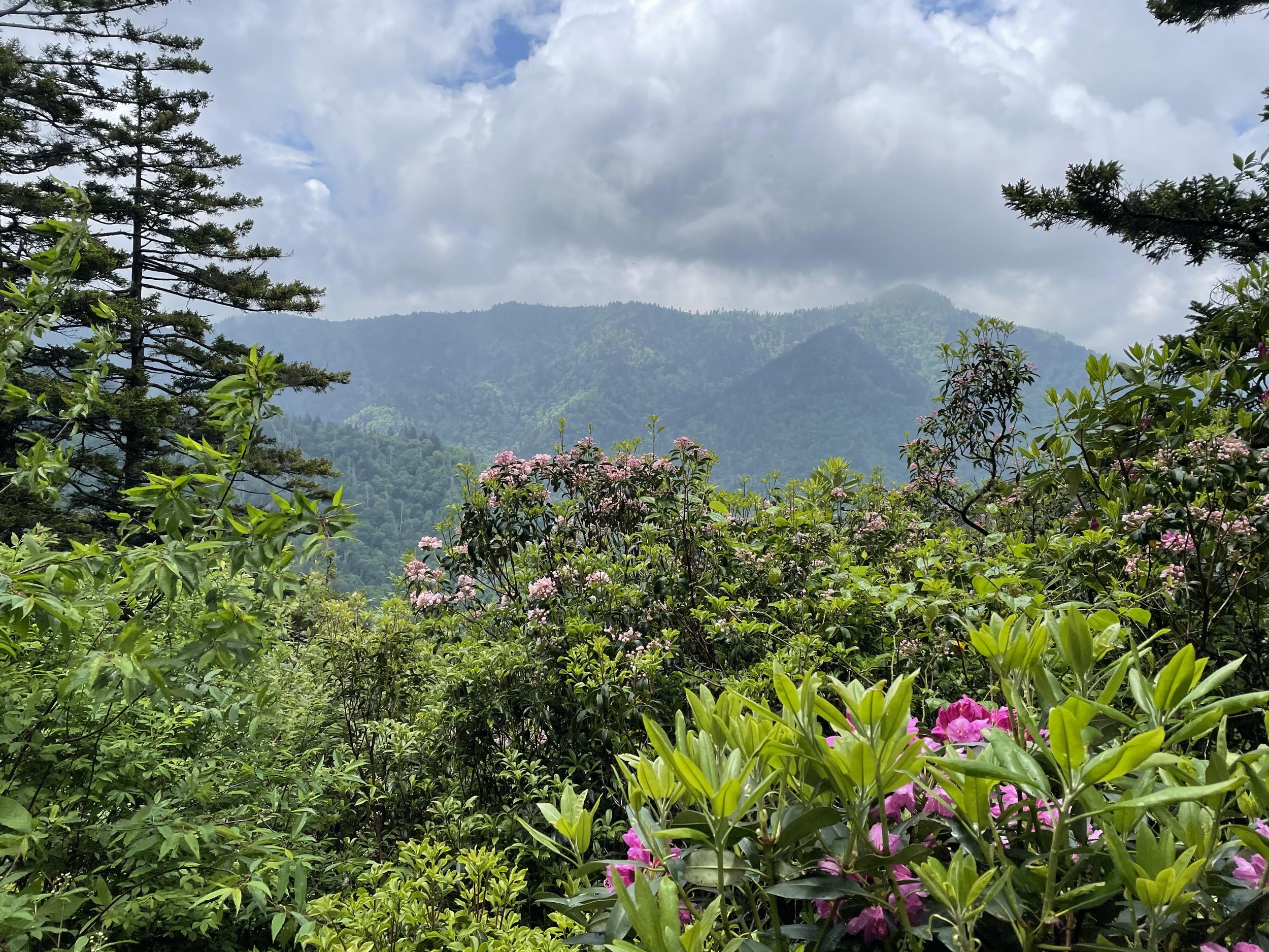Home in these Hills