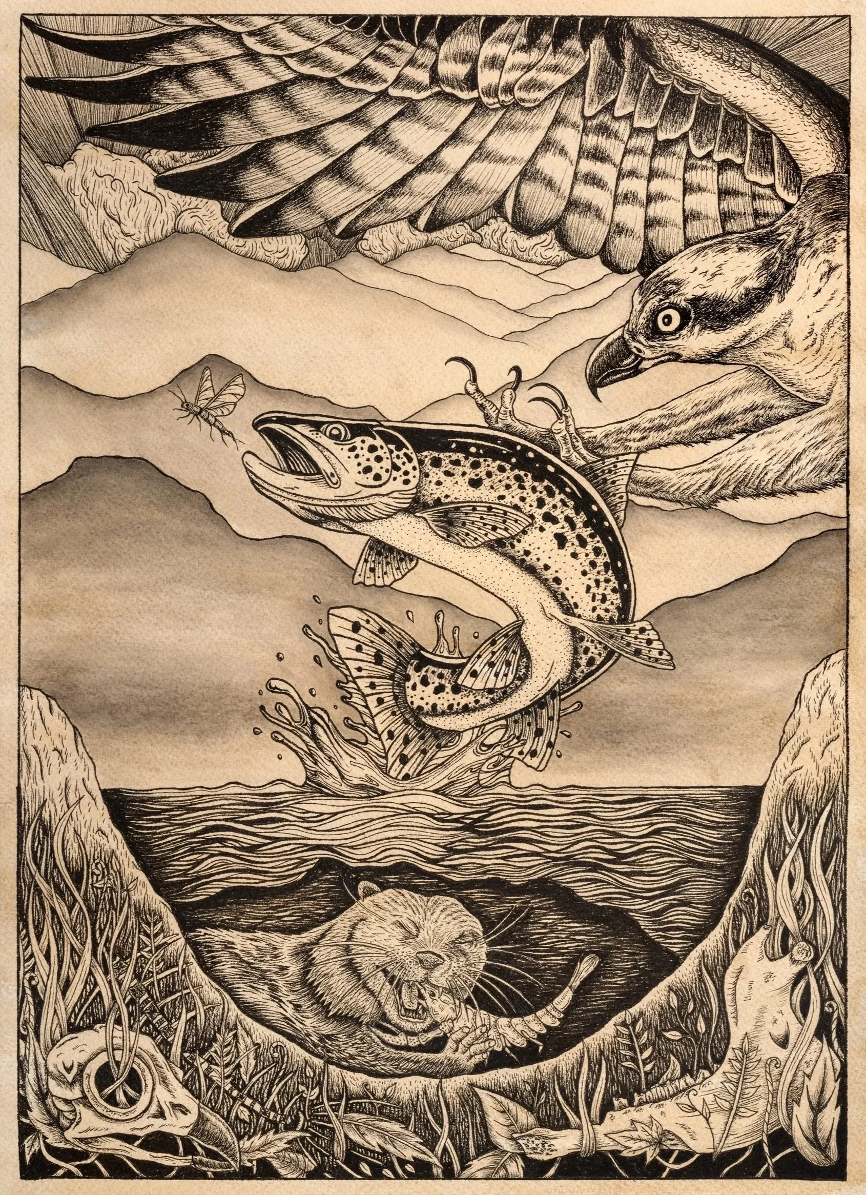 Watersheds - Archival Print