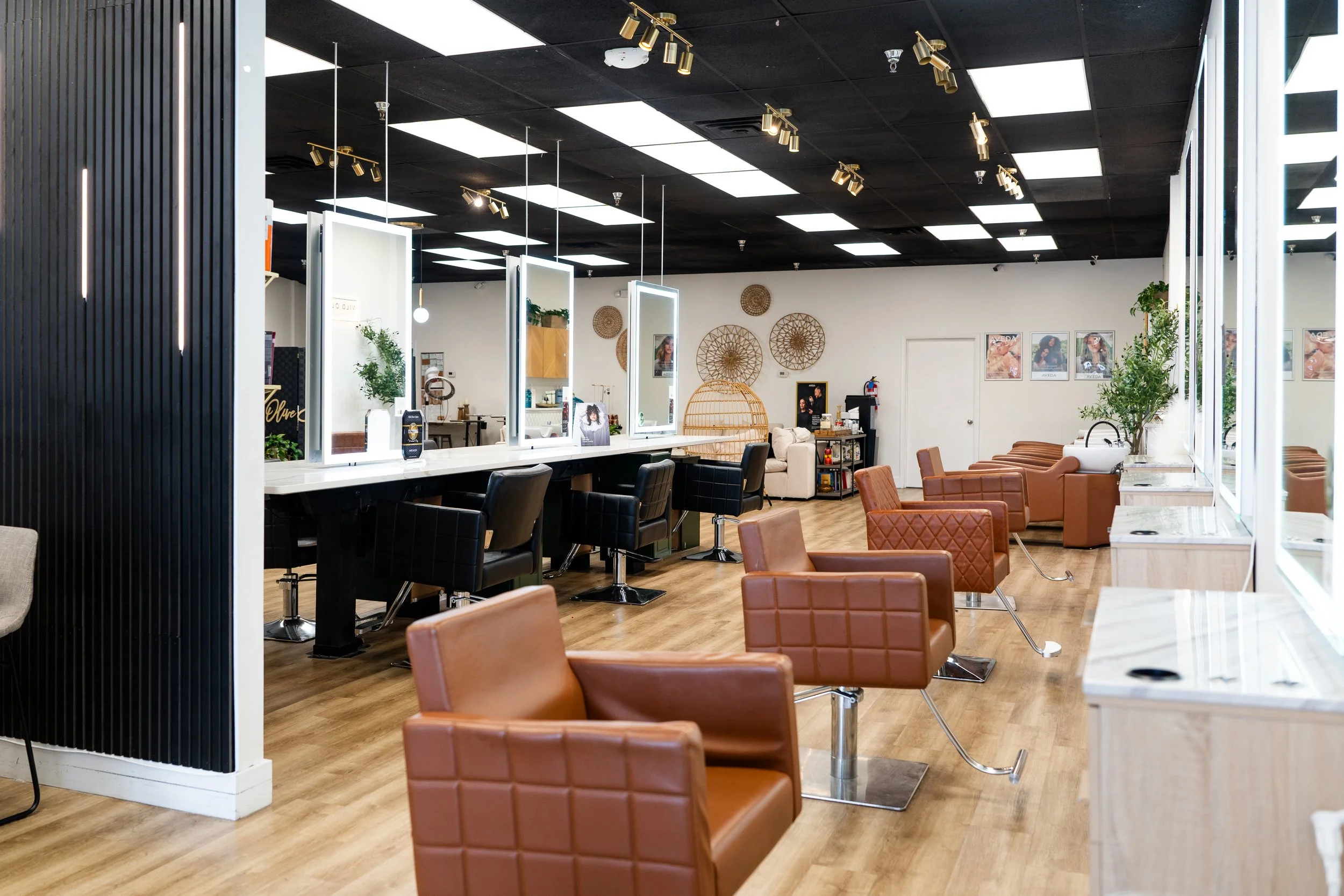 Wild Olive Salon