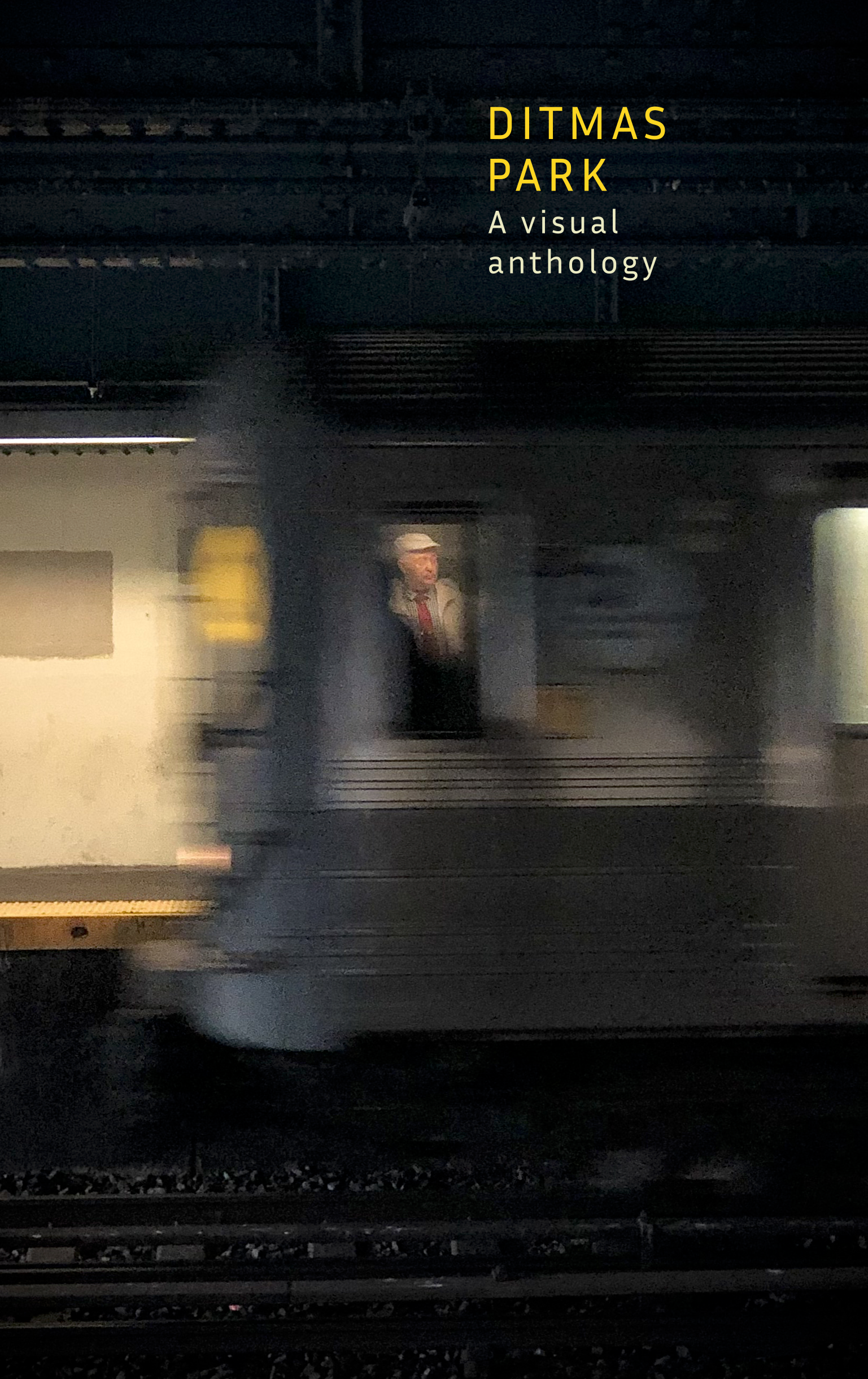 Ditmas Park: A Visual Anthology