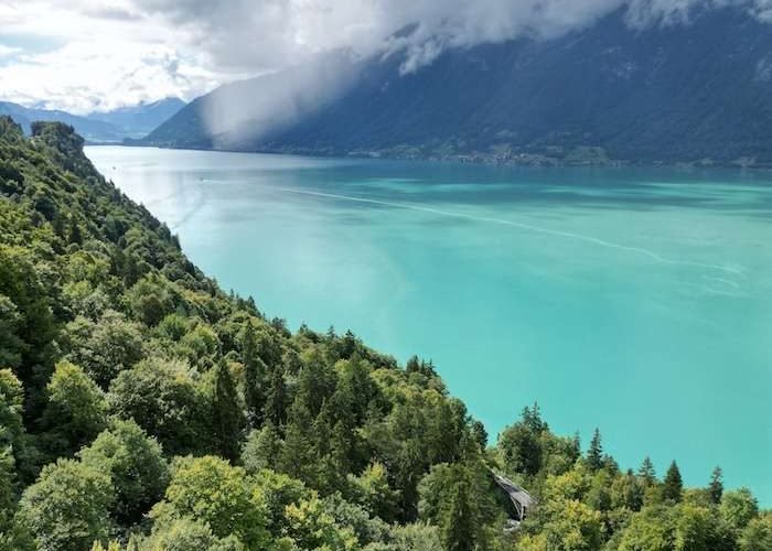 Autumn Edition · Swiss Alps Forests