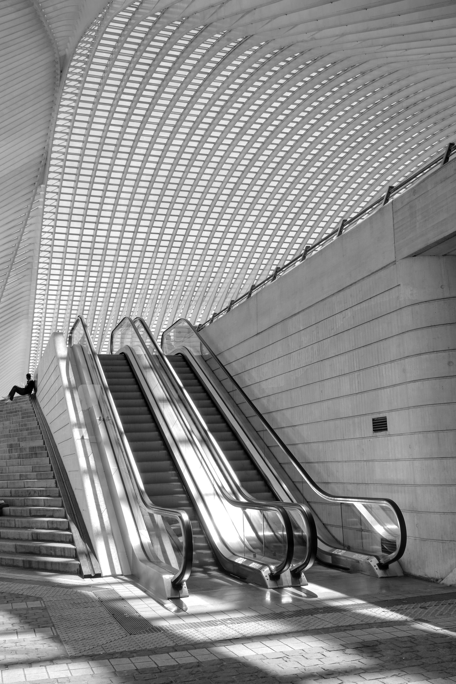 Black and white photo of an indoor space with escalators and stairs, featuring a large vaulted ceiling with a geometric pattern.