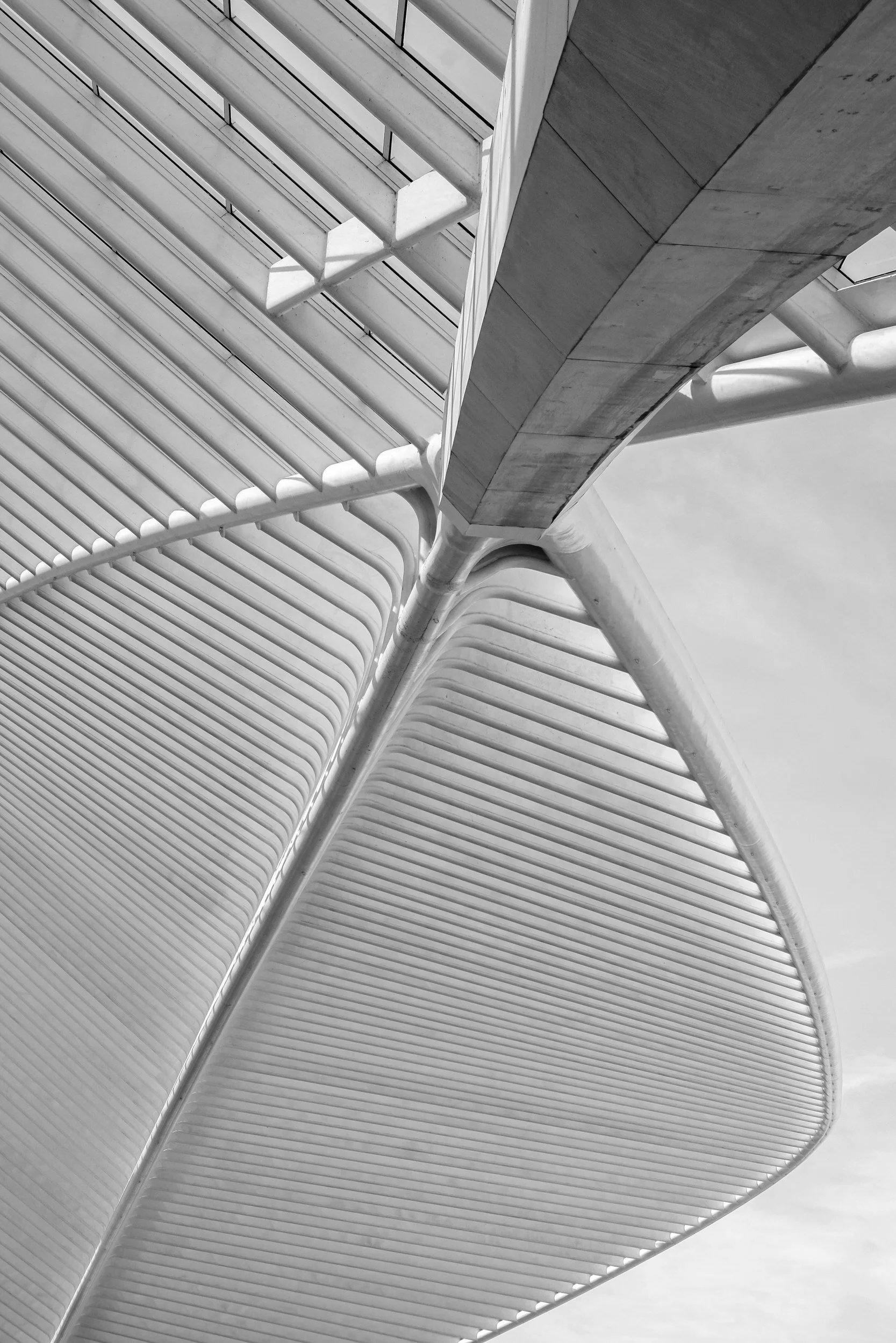 Station_Guillemins_onderzijde_overkapping-1.jpg