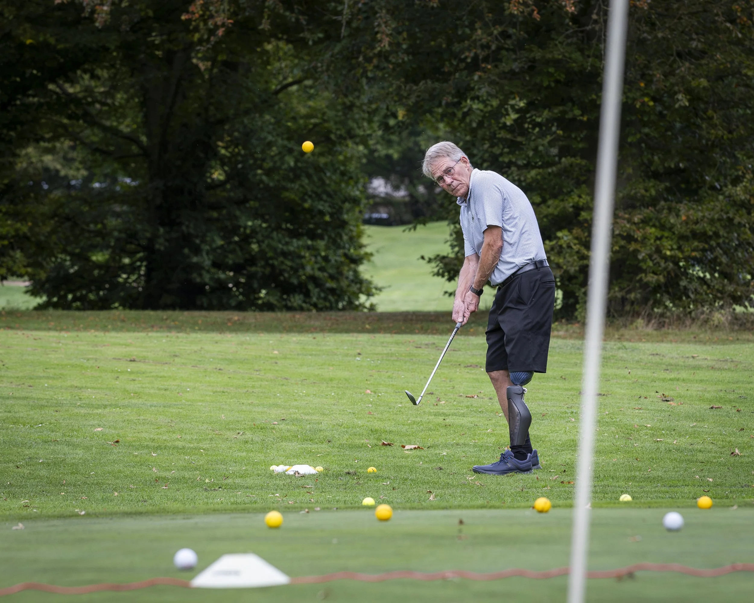 An elderly man with glasses and gray hair practicing putting in a golf course, surrounded by green grass and trees, with golf balls scattered on the grass