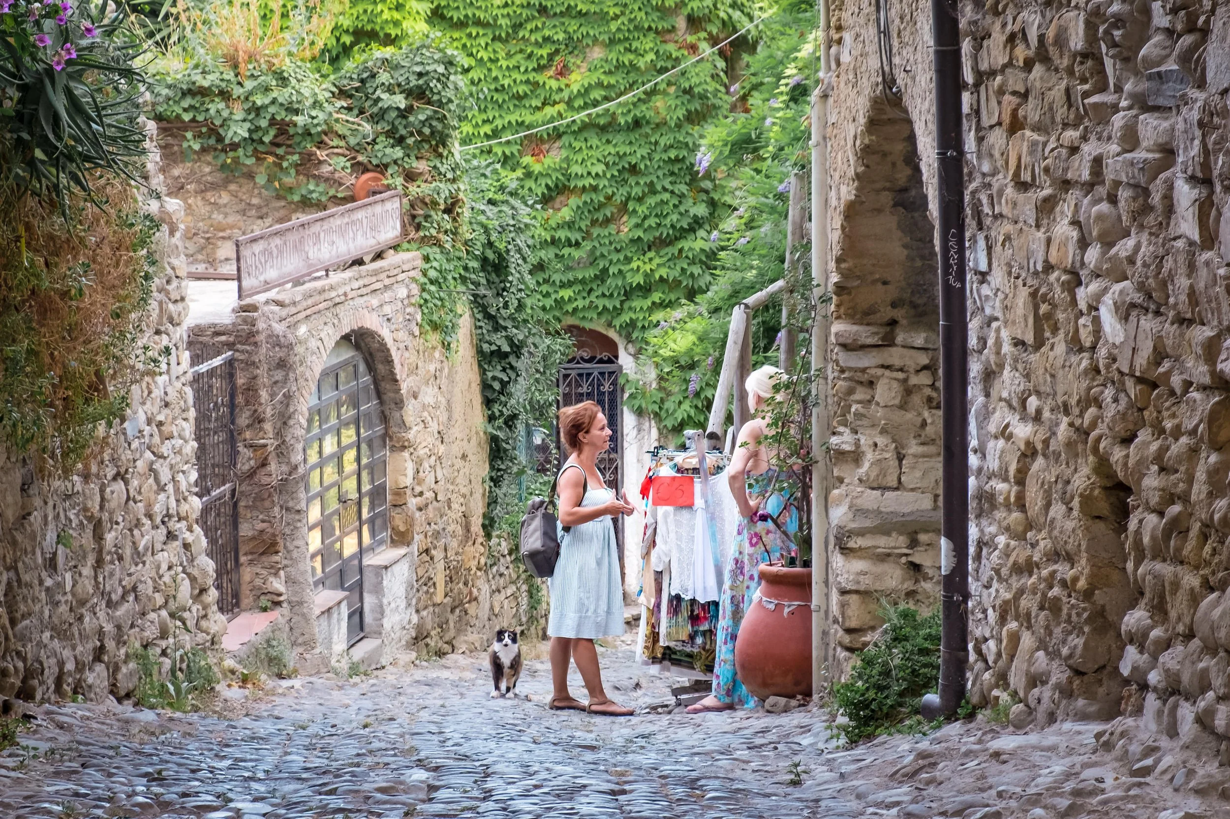 Two women and a dog walking down a cobblestone alley between stone buildings covered in lush green ivy and plants, with a small gate and a sign on the left.