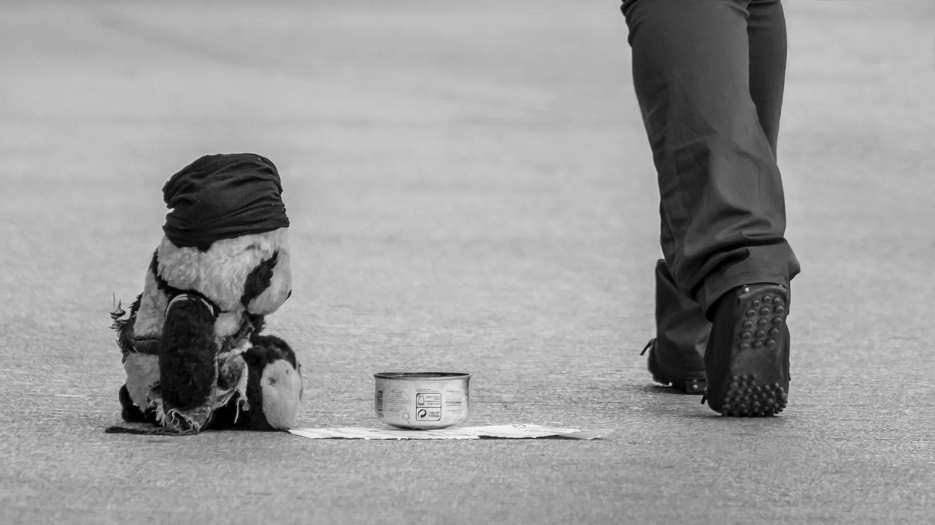 A black and white photo shows a person standing in snow, with only the lower legs visible, wearing sturdy boots. In front of the person, a dog dressed in a coat with a fur-lined hood sits next to an open can of dog food on a snow-covered surface.
